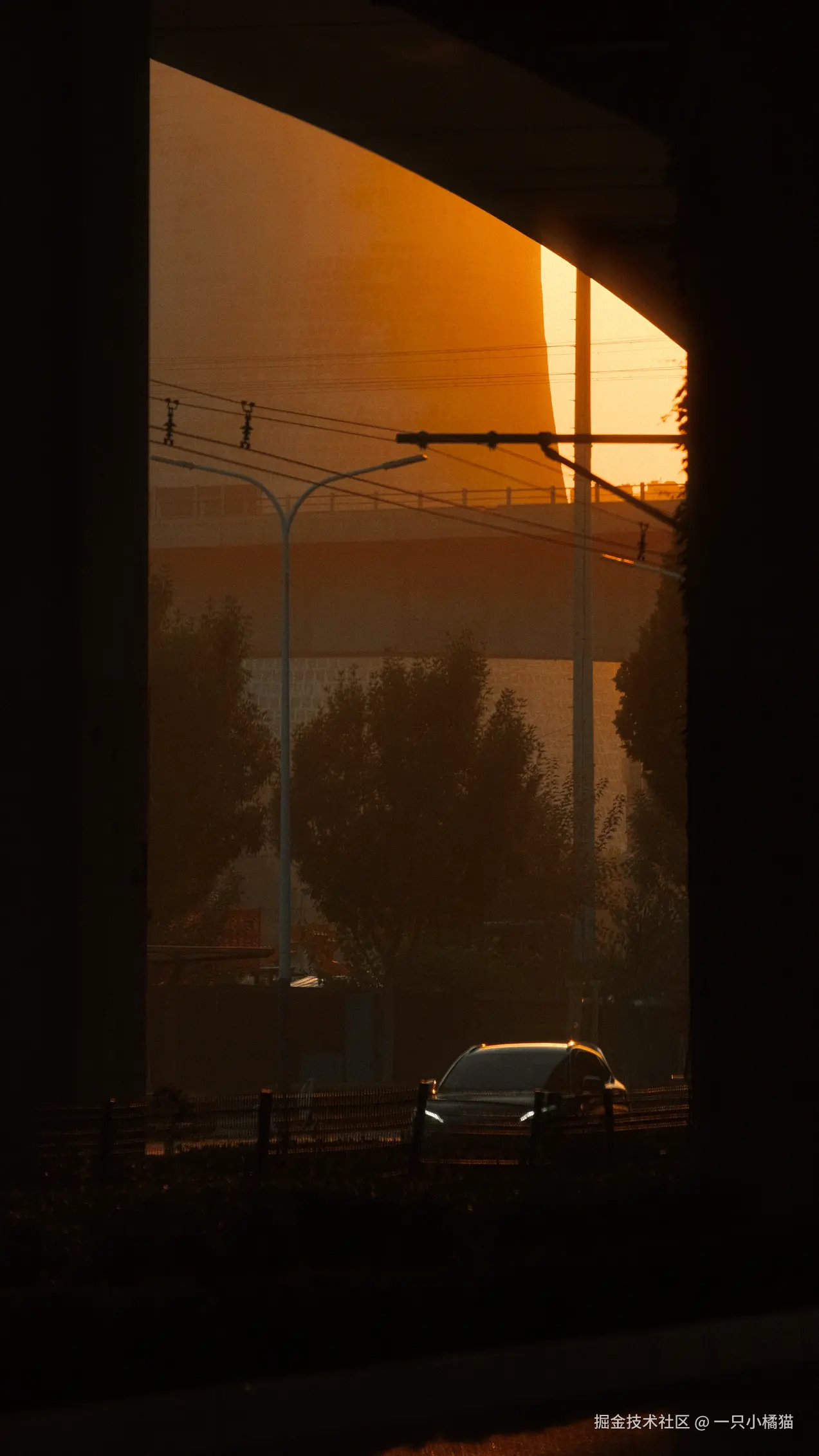 一只小橘猫于2025-10-23 10:00发布的图片