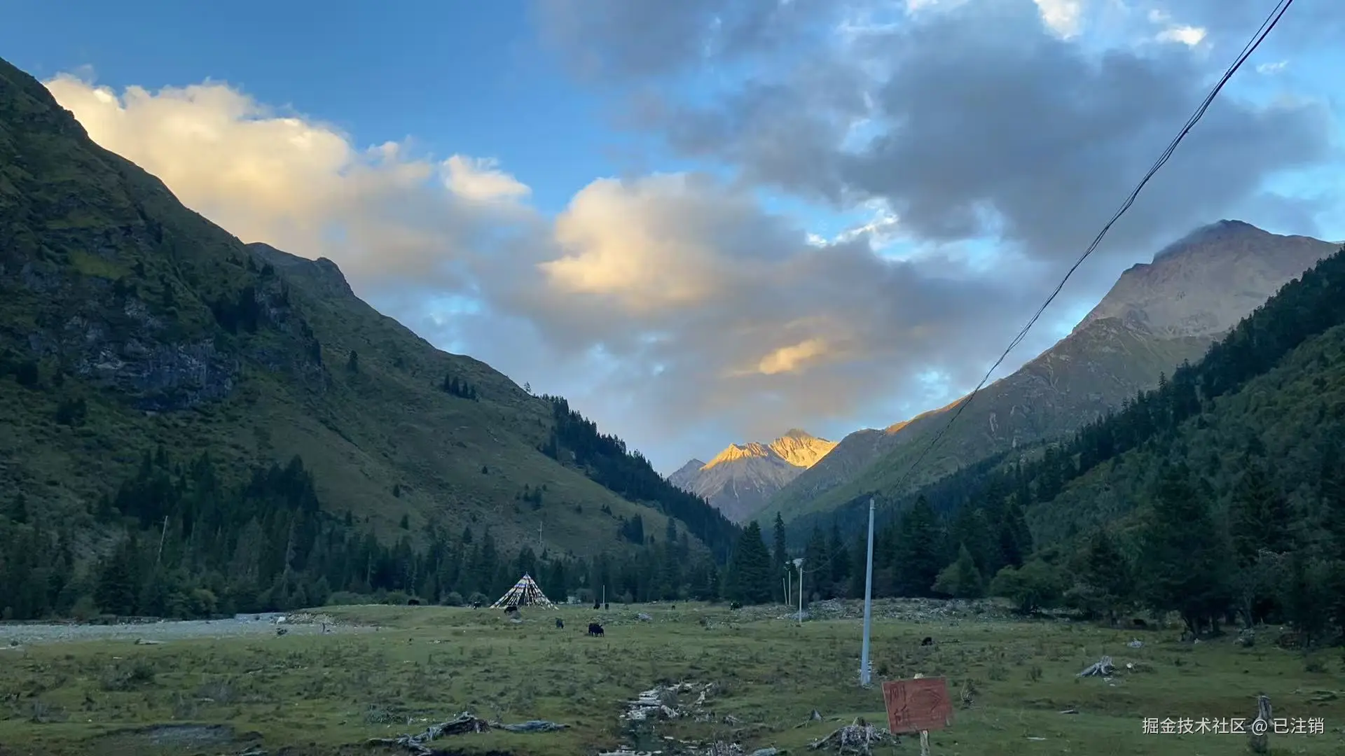 已注销于2025-05-26 16:22发布的图片