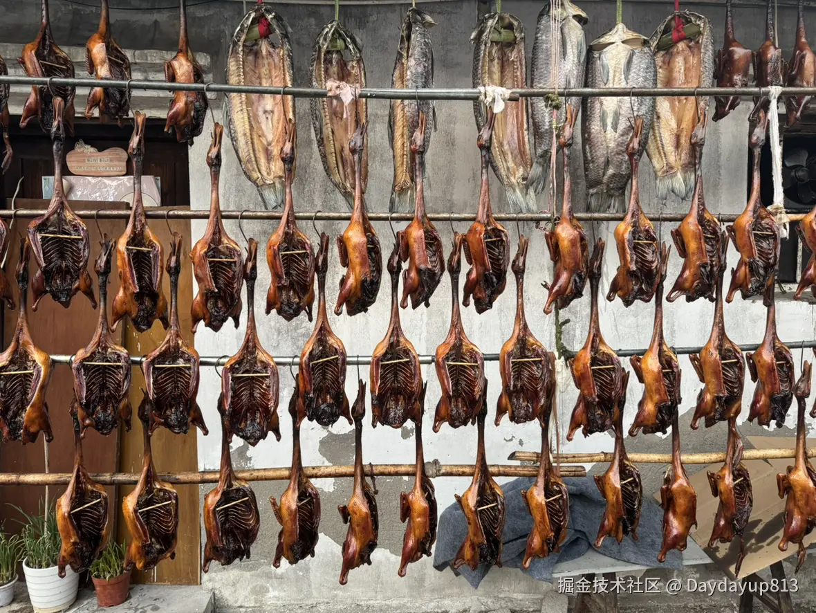 Daydayup813于2026-02-05 18:47发布的图片