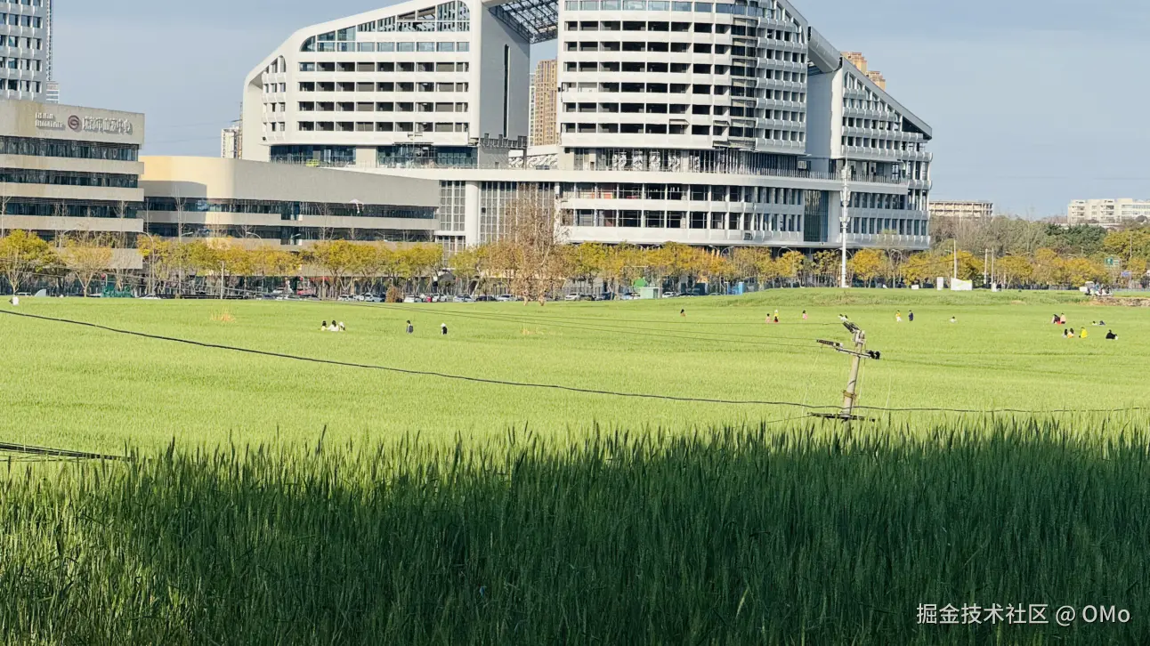 OMo于2026-03-02 13:42发布的图片