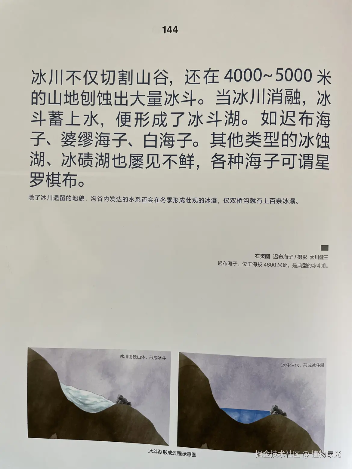 植物昂光于2026-03-14 12:18发布的图片