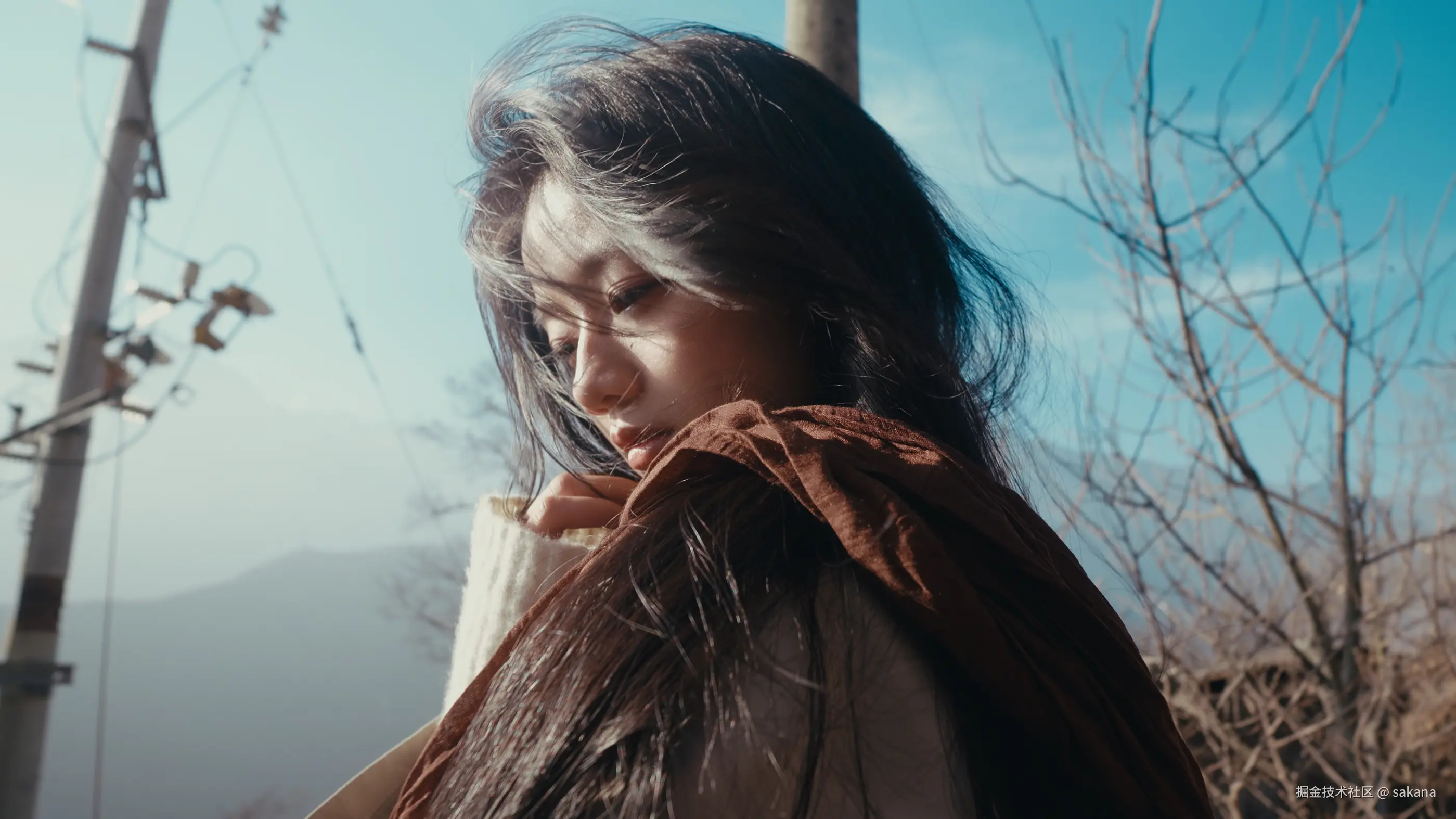 sakana于2026-01-02 11:33发布的图片