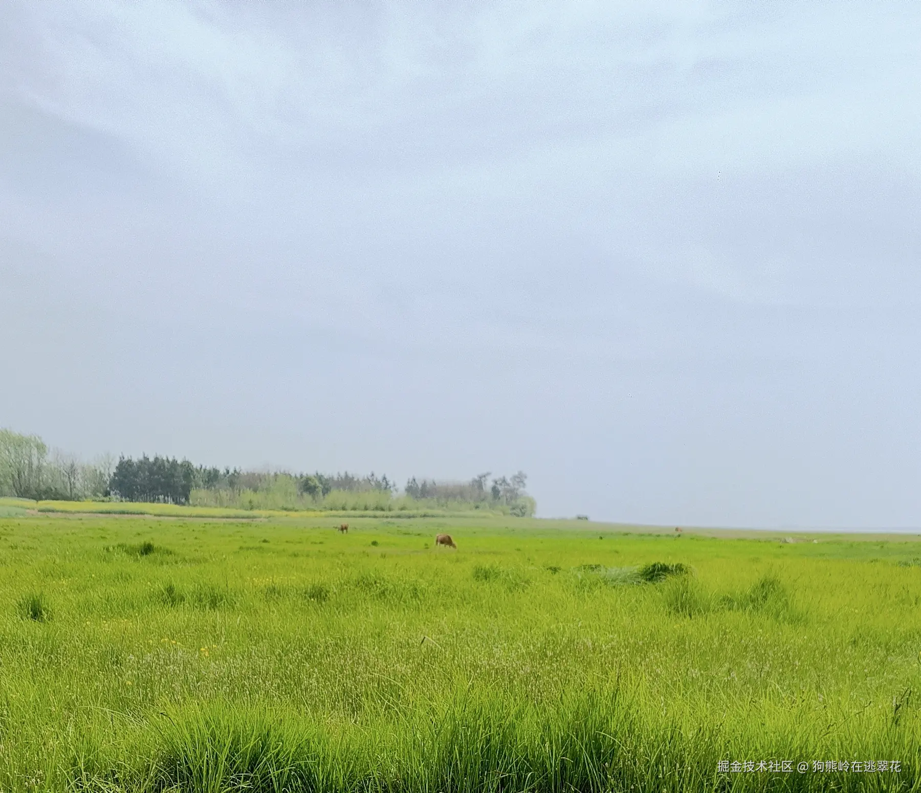 狗熊岭在逃翠花于2025-04-07 13:34发布的图片
