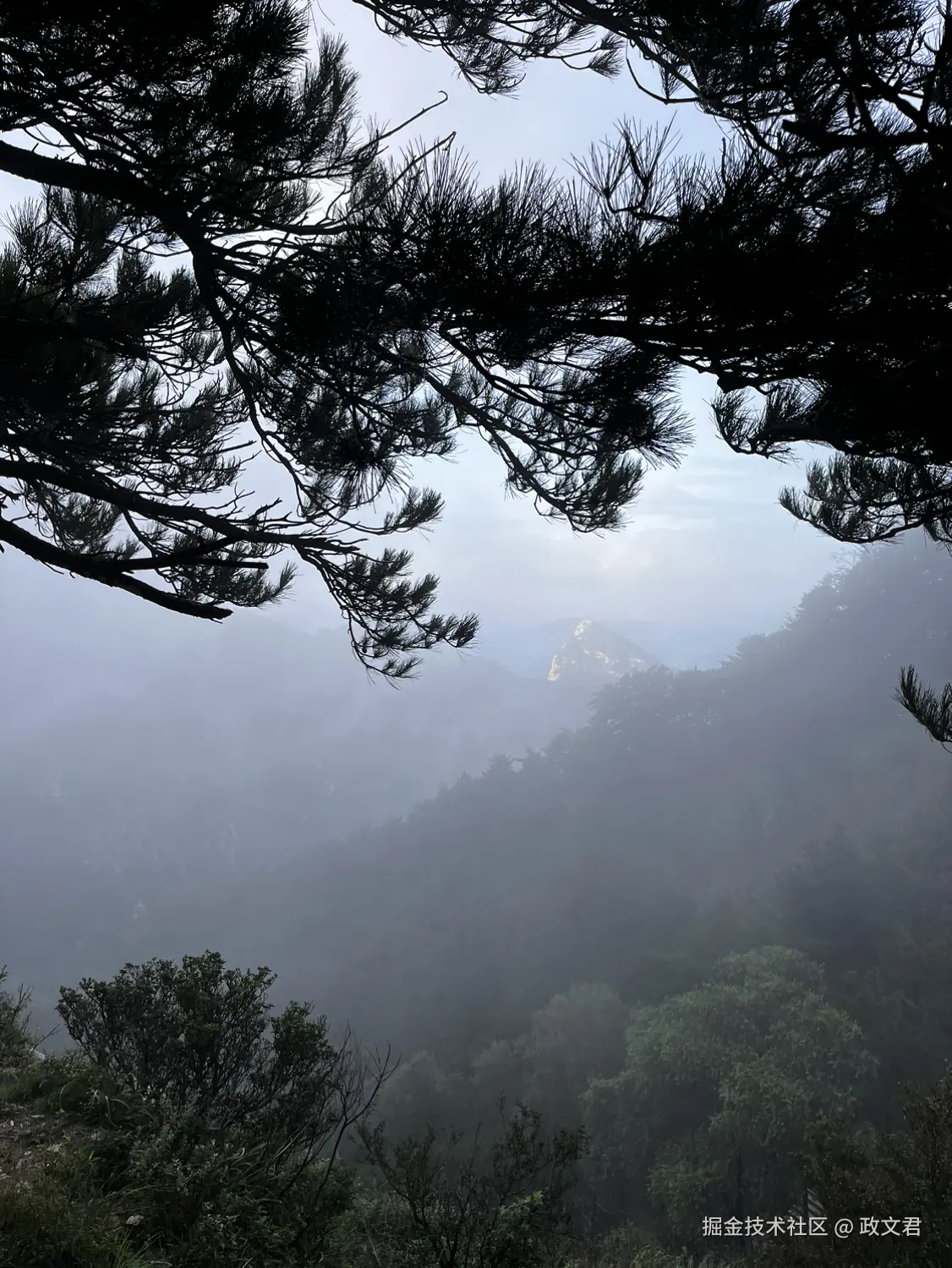 政文君于2024-09-18 19:26发布的图片