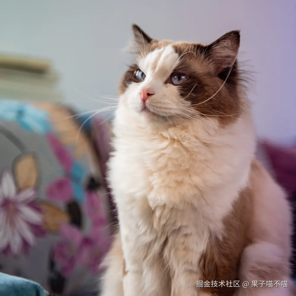 果子喵不喵于2025-04-15 11:34发布的图片