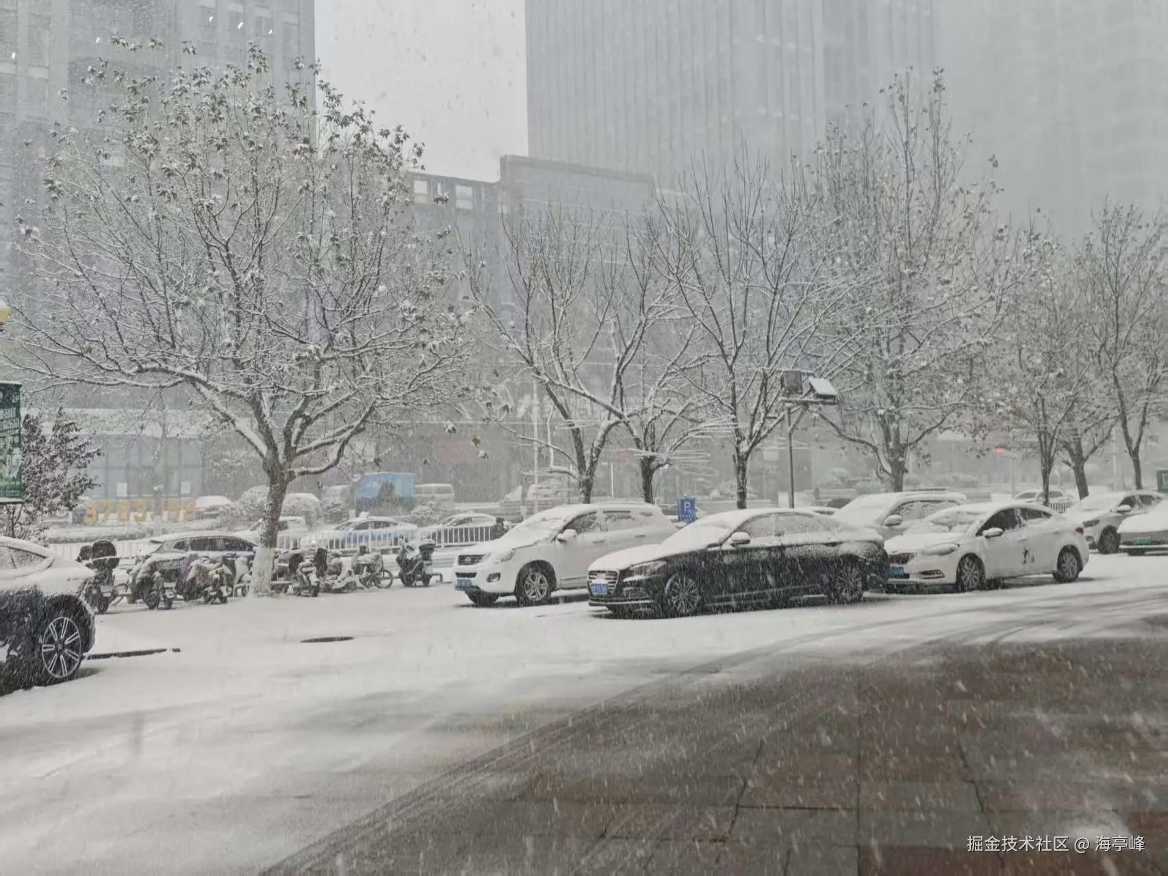 海亭峰于2025-12-03 12:11发布的图片