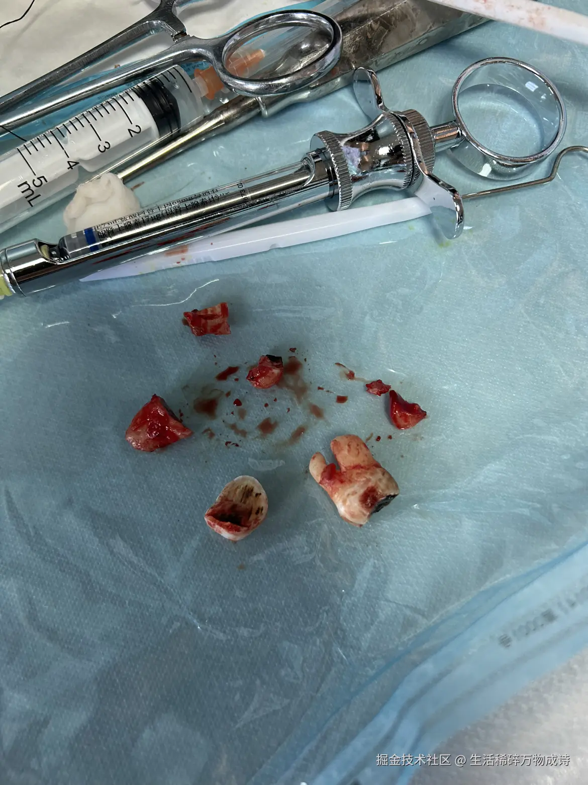 生活稀碎万物成诗于2026-01-10 13:11发布的图片