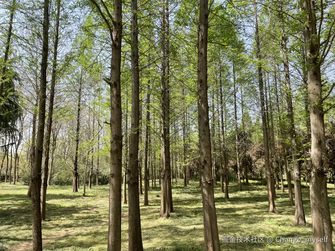 Change_myself于2025-04-07 06:42发布的图片