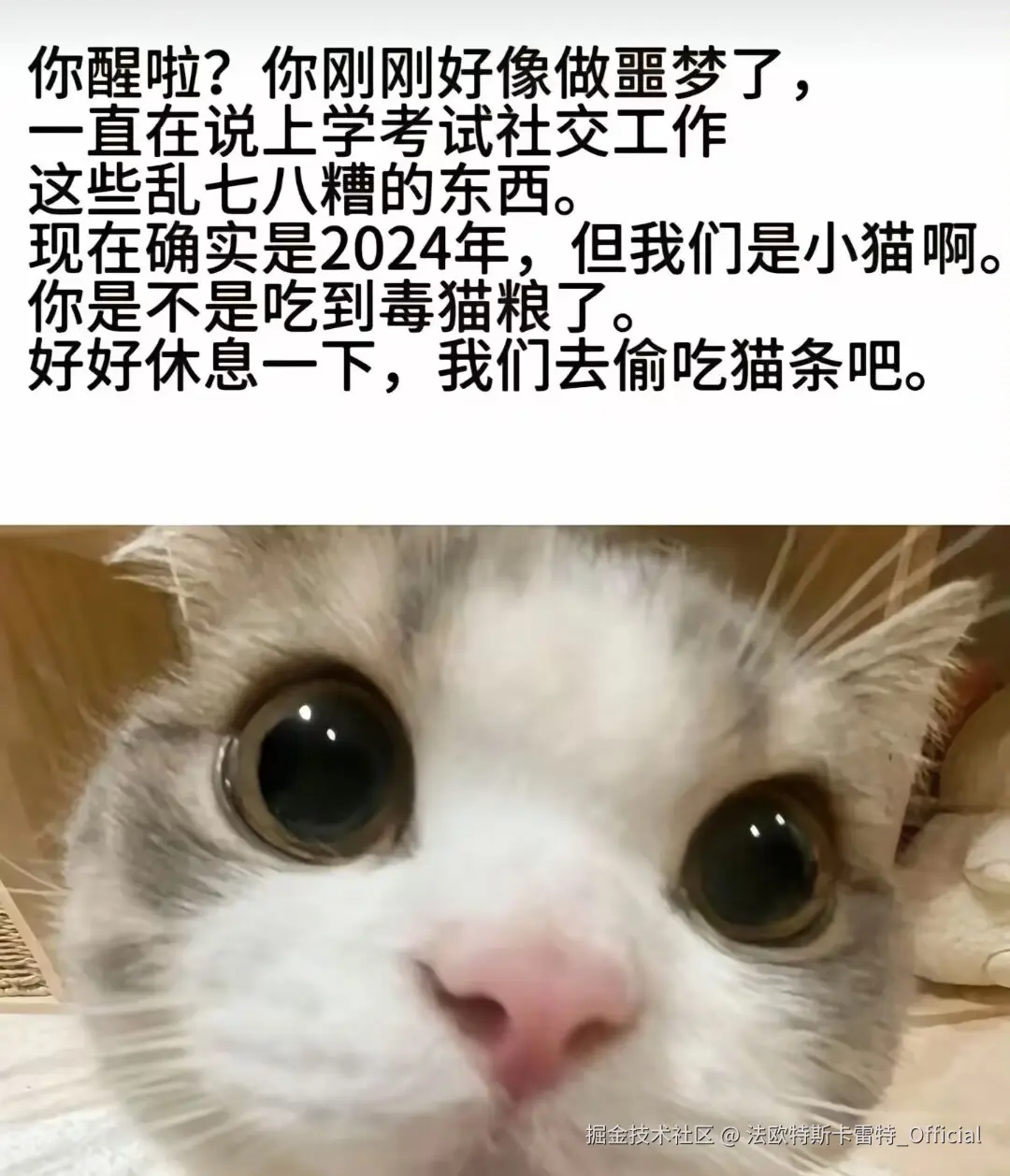 法欧特斯卡雷特_Official于2025-01-10 09:50发布的图片