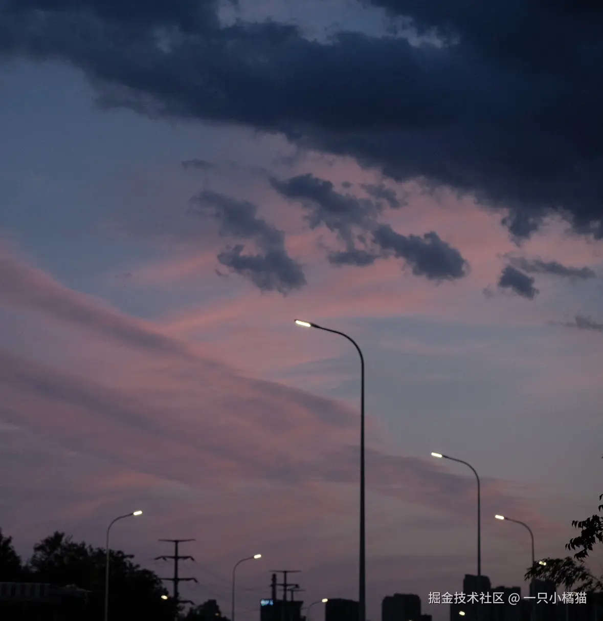 一只小橘猫于2025-06-03 20:02发布的图片