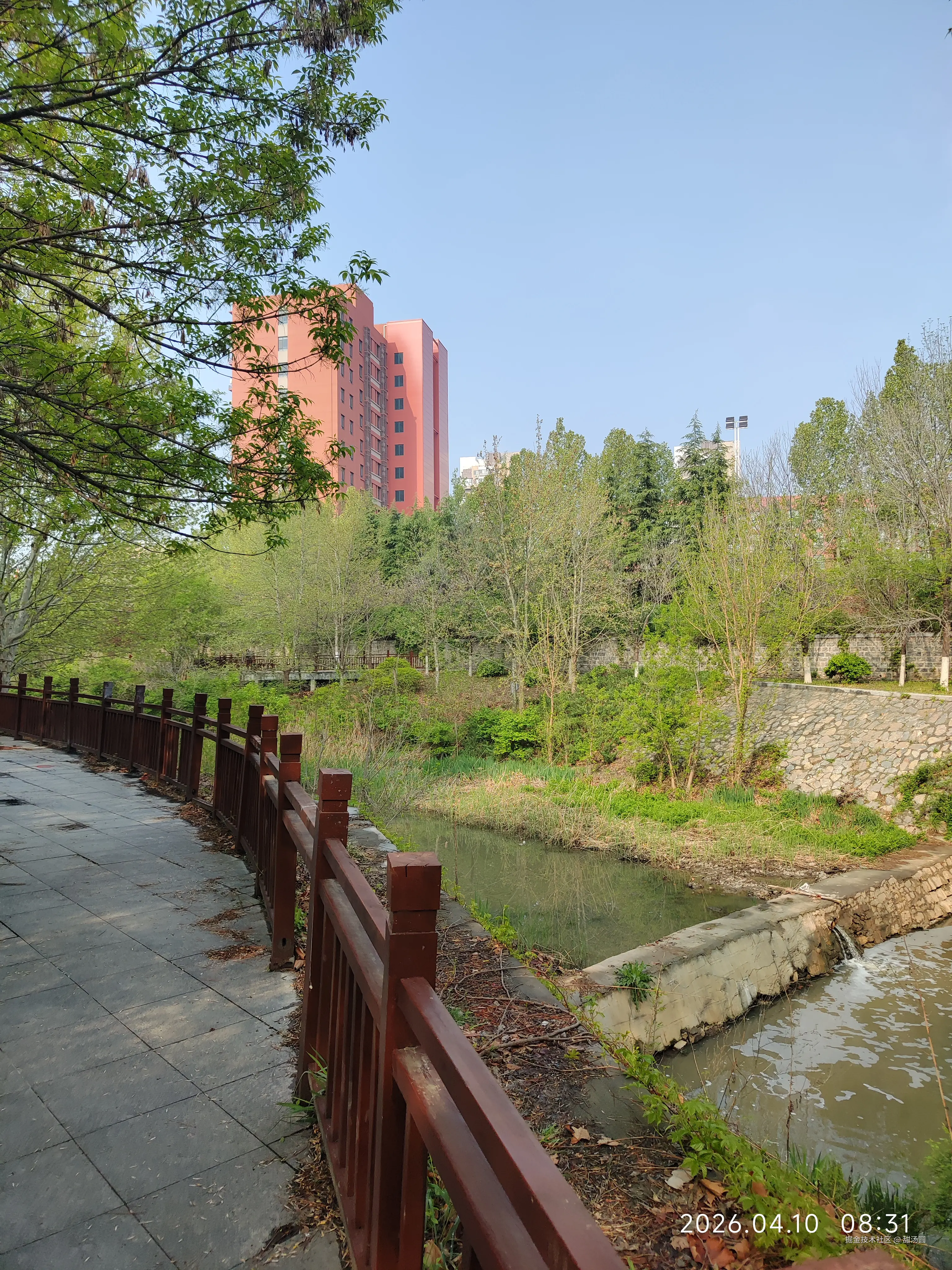 甜汤圆于2026-04-10 08:33发布的图片