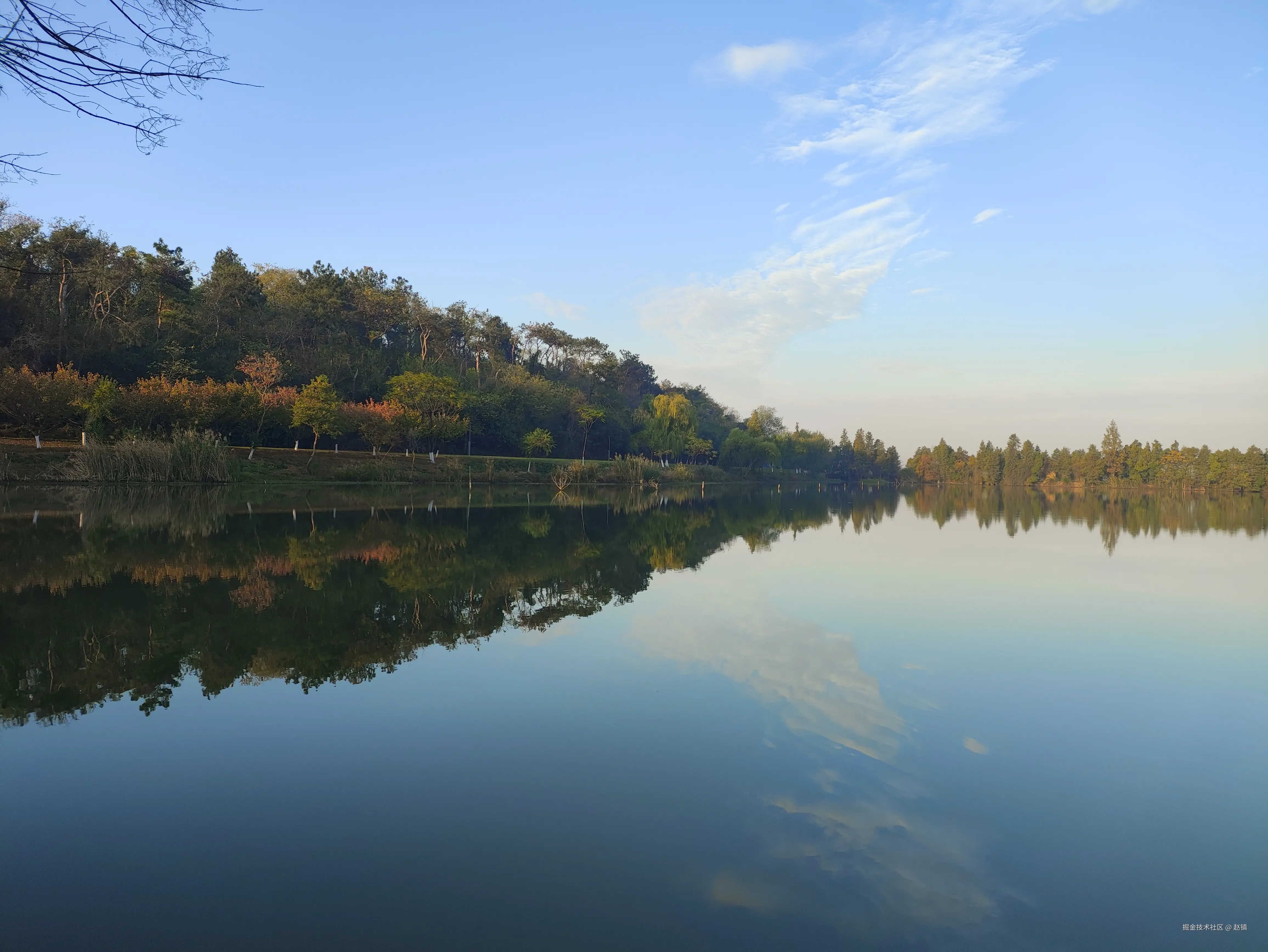 赵镇于2024-11-08 14:53发布的图片