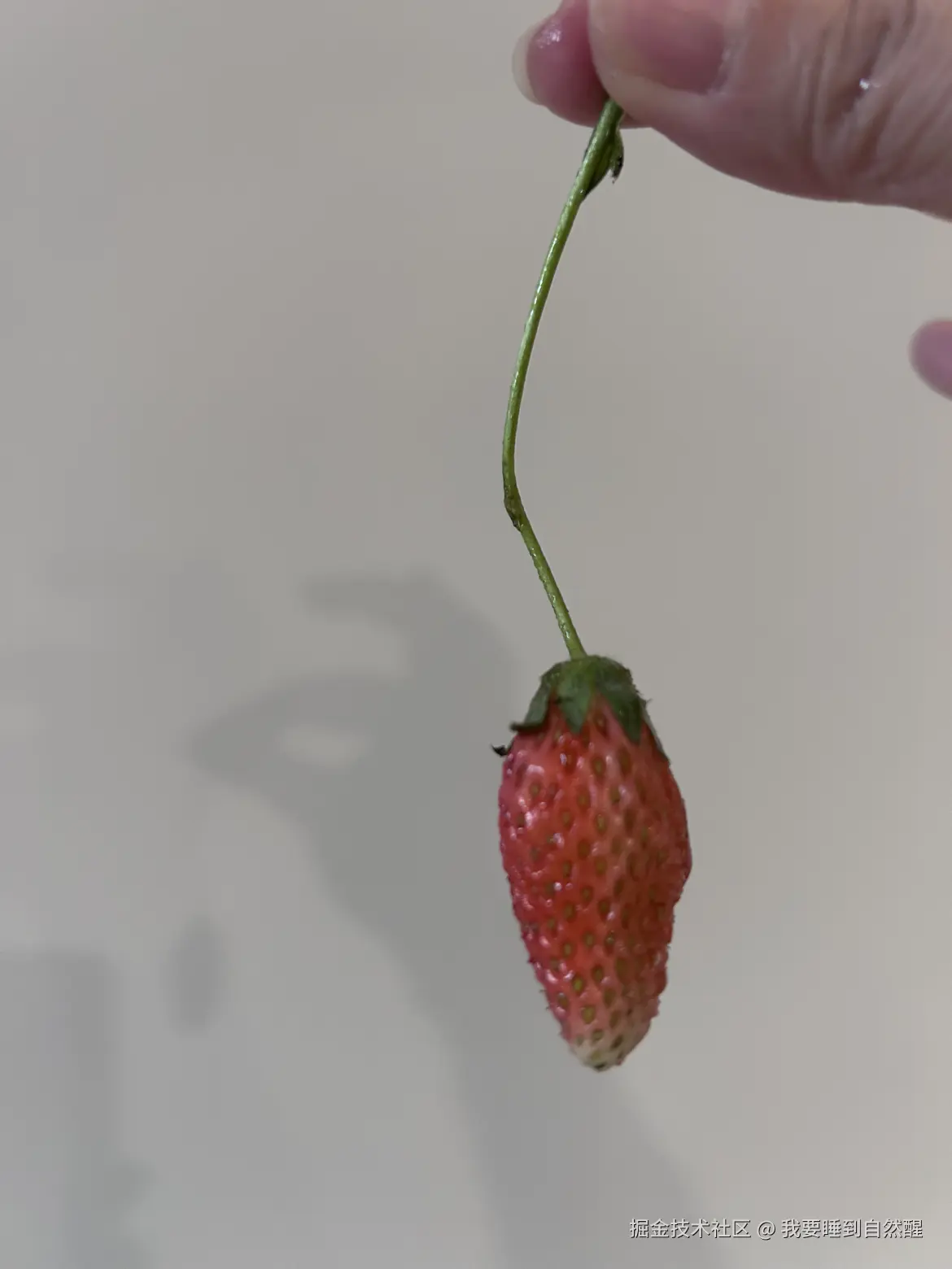 我要睡到自然醒于2025-04-20 17:23发布的图片