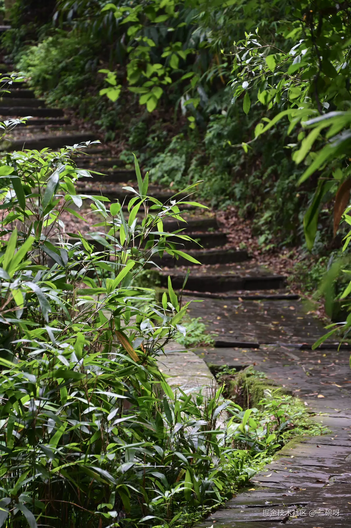 三碗呀于2025-07-07 10:07发布的图片