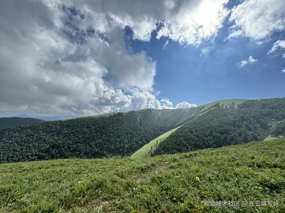 在云端写诗于2025-08-18 17:50发布的图片
