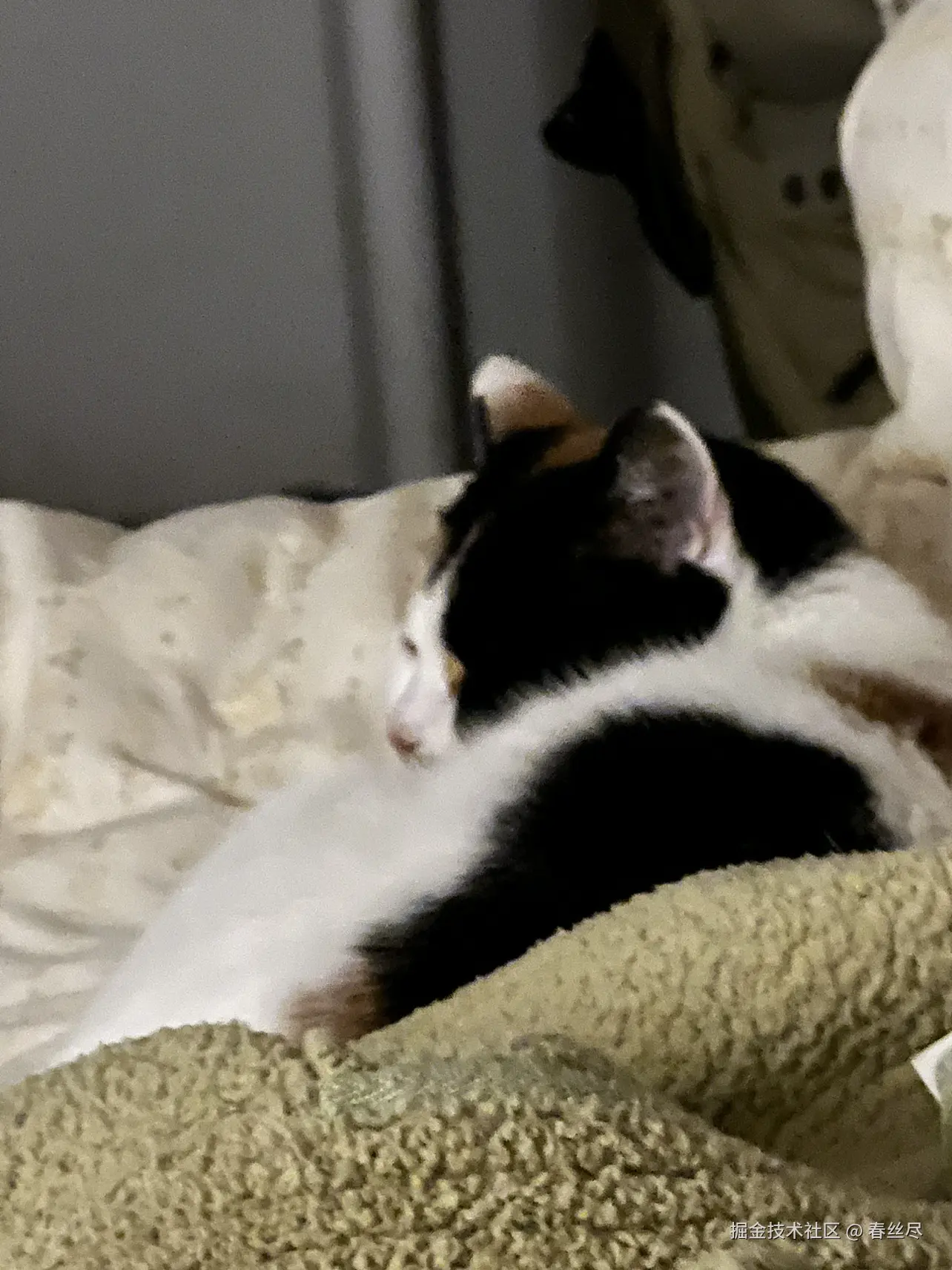 春丝尽于2026-04-03 14:13发布的图片