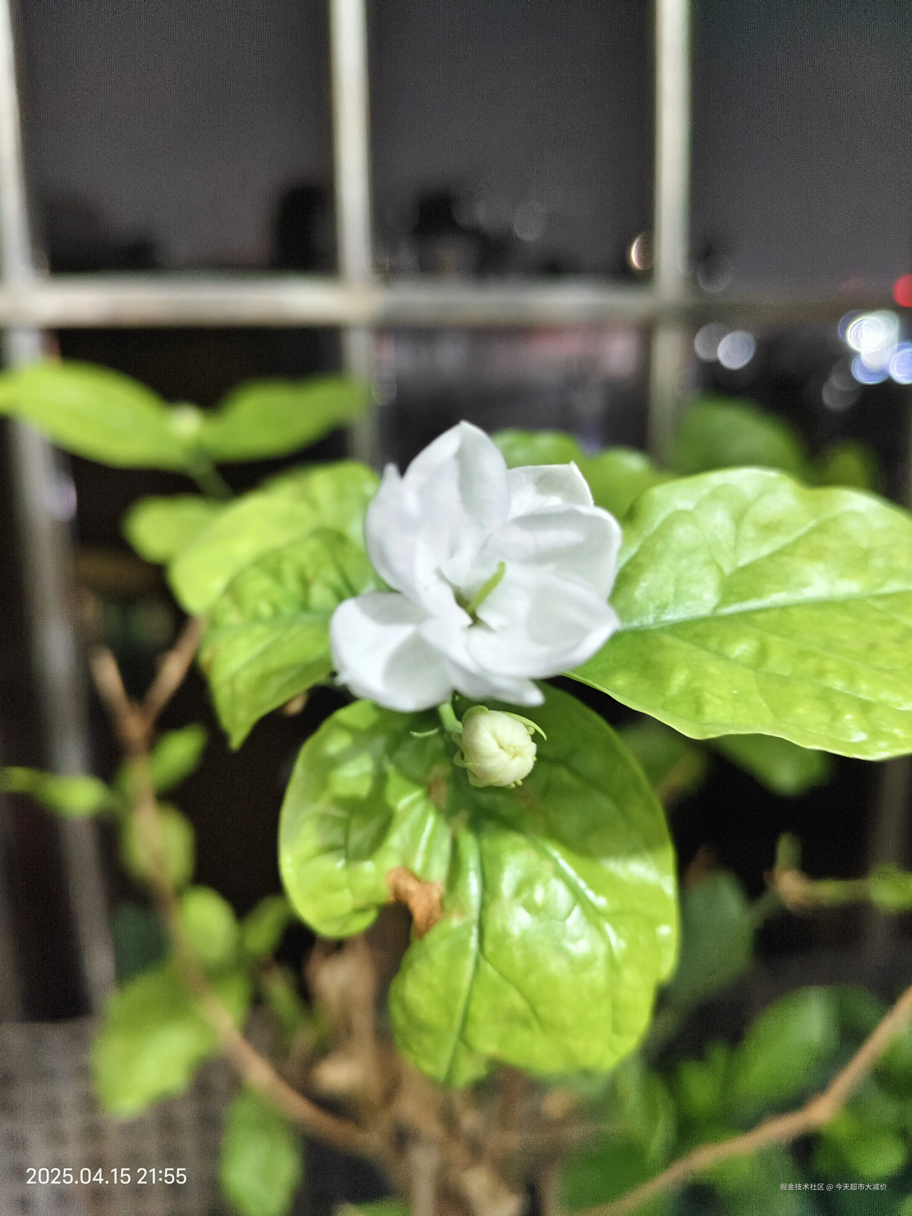 今天超市大减价于2025-04-16 11:05发布的图片