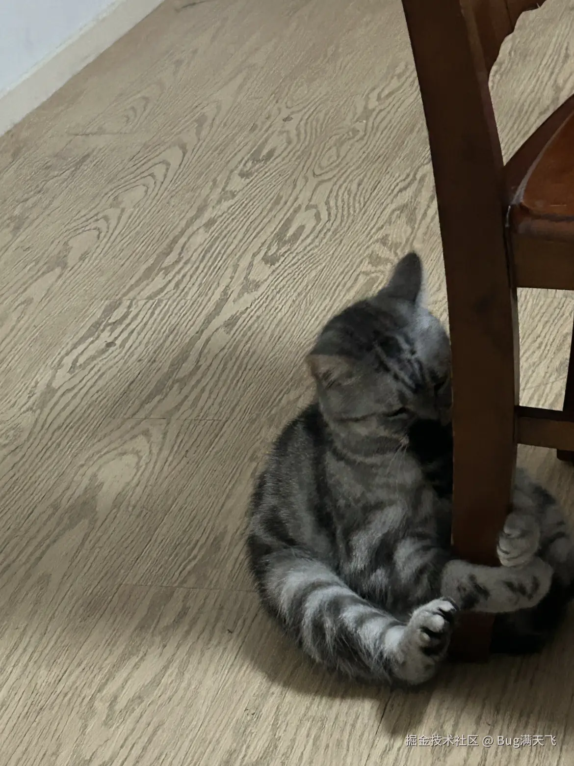 Bug满天飞于2024-09-21 08:05发布的图片