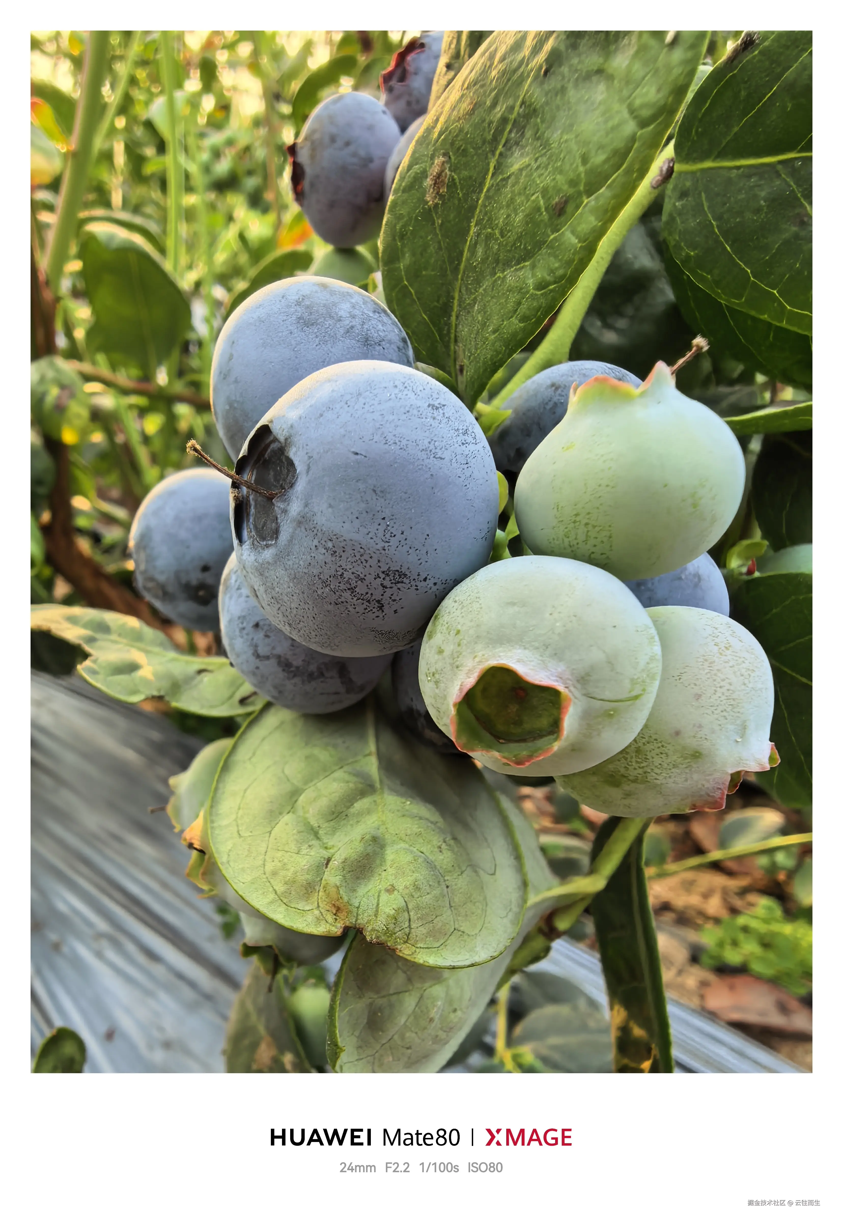 云往而生于2026-02-26 17:15发布的图片