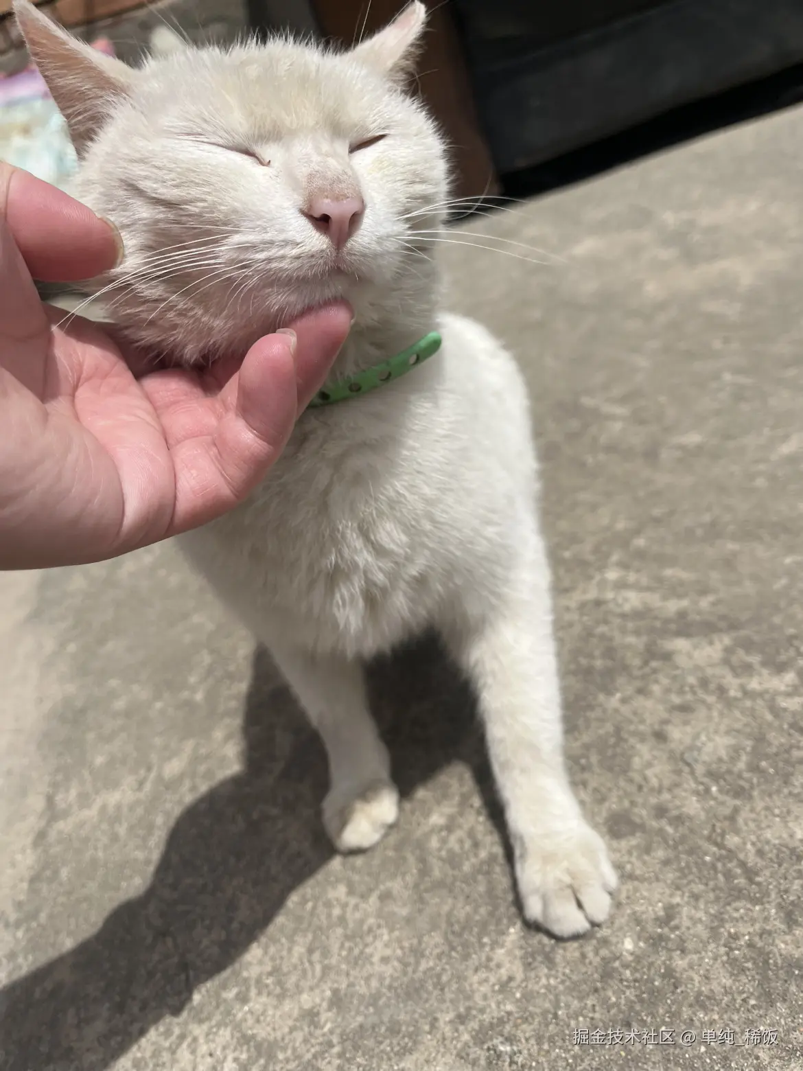 单纯_稀饭于2025-04-25 12:03发布的图片