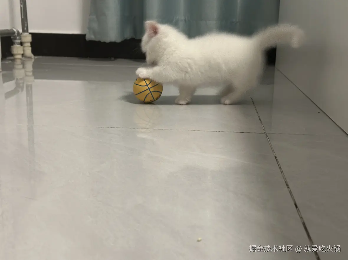 就爱吃火锅于2025-02-19 09:30发布的图片