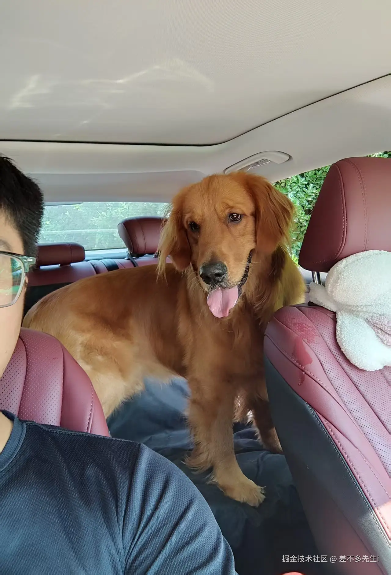 差不多先生i于2026-01-14 18:05发布的图片