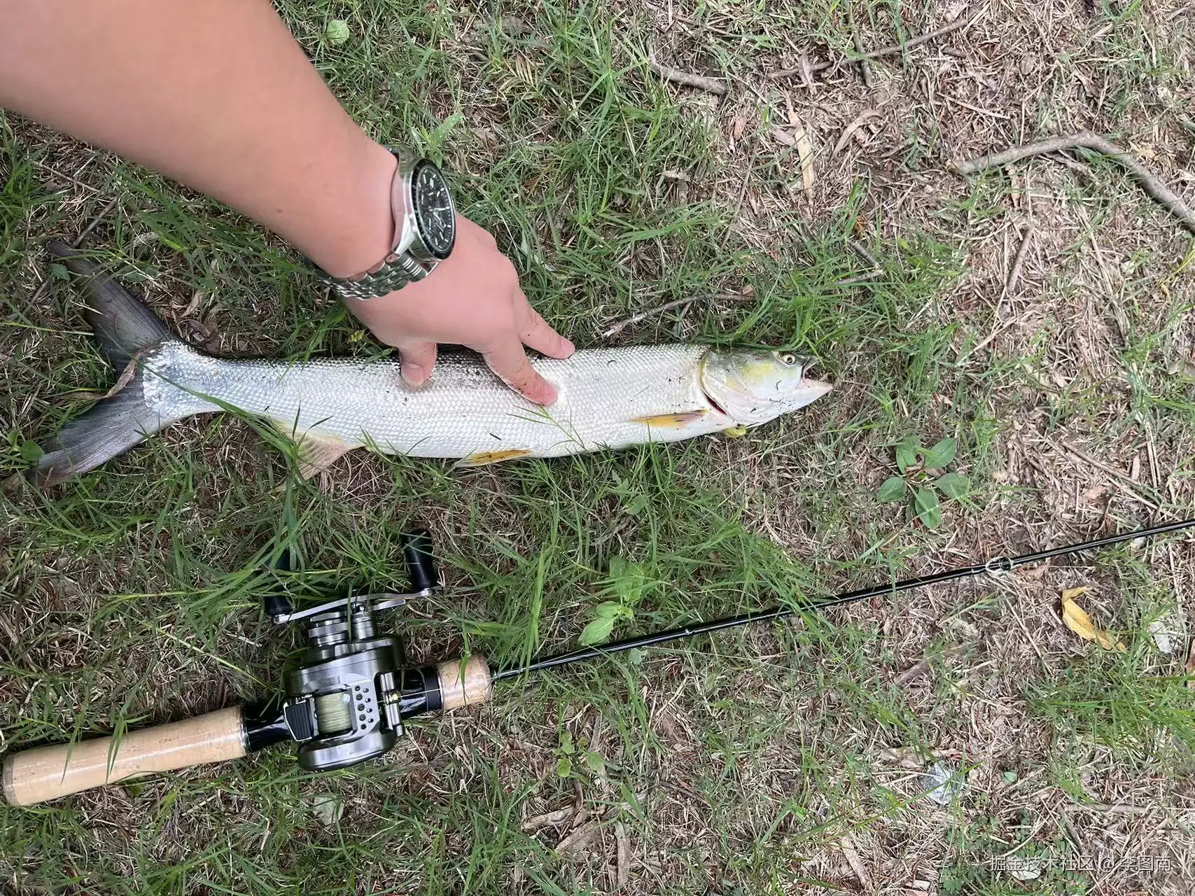 李图南于2025-10-20 10:50发布的图片