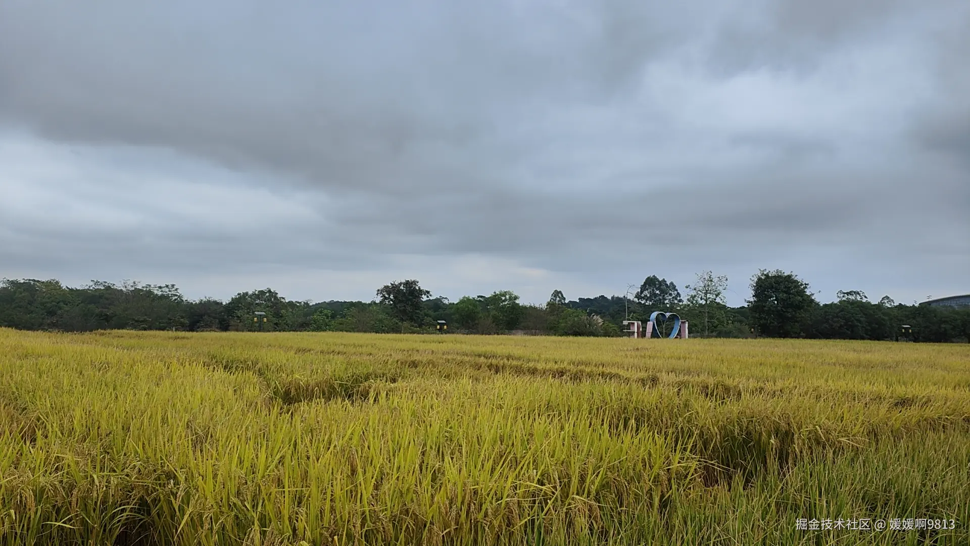 媛媛啊9813于2025-11-09 21:29发布的图片