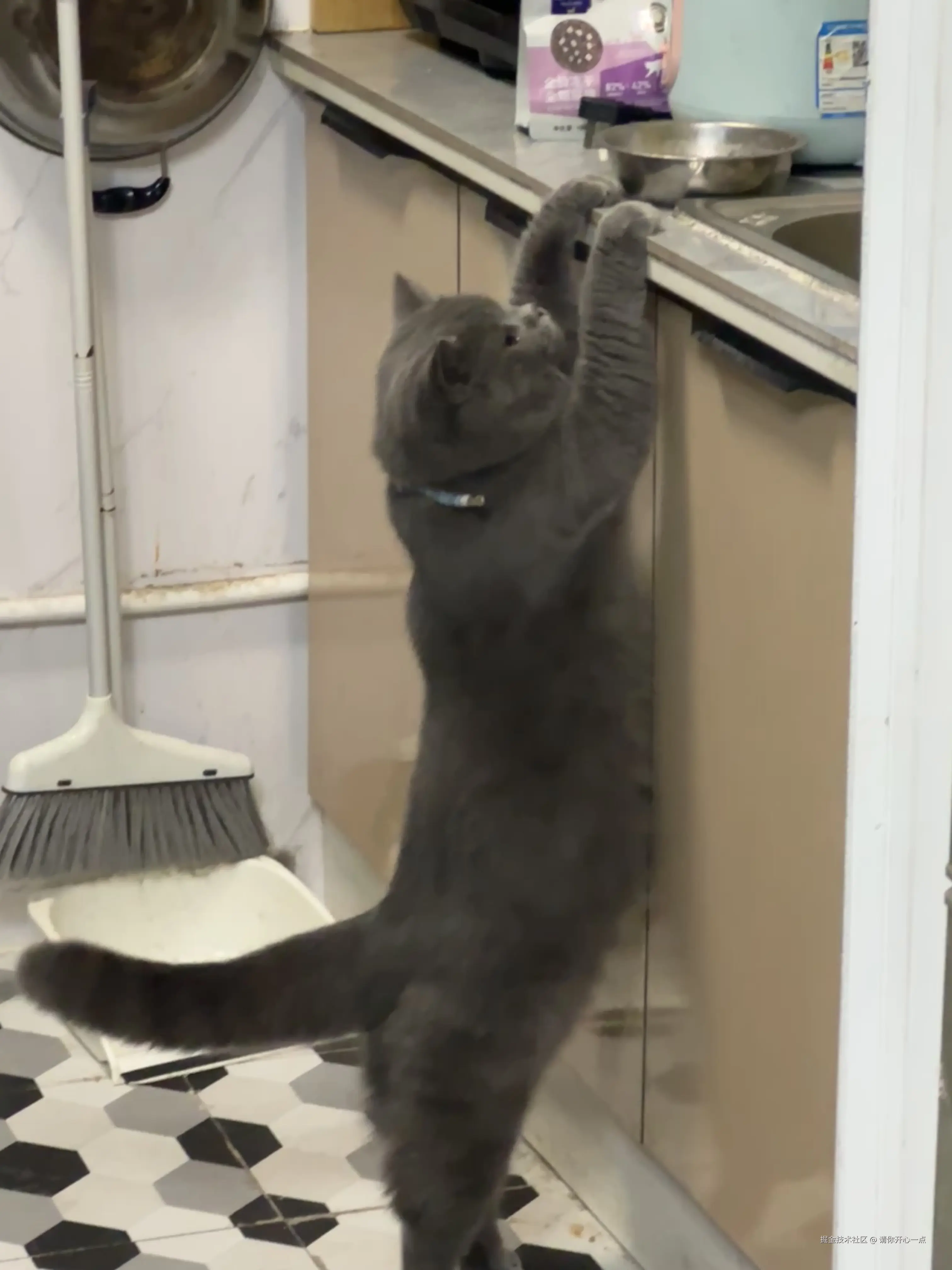 请你开心一点于2025-04-11 15:32发布的图片