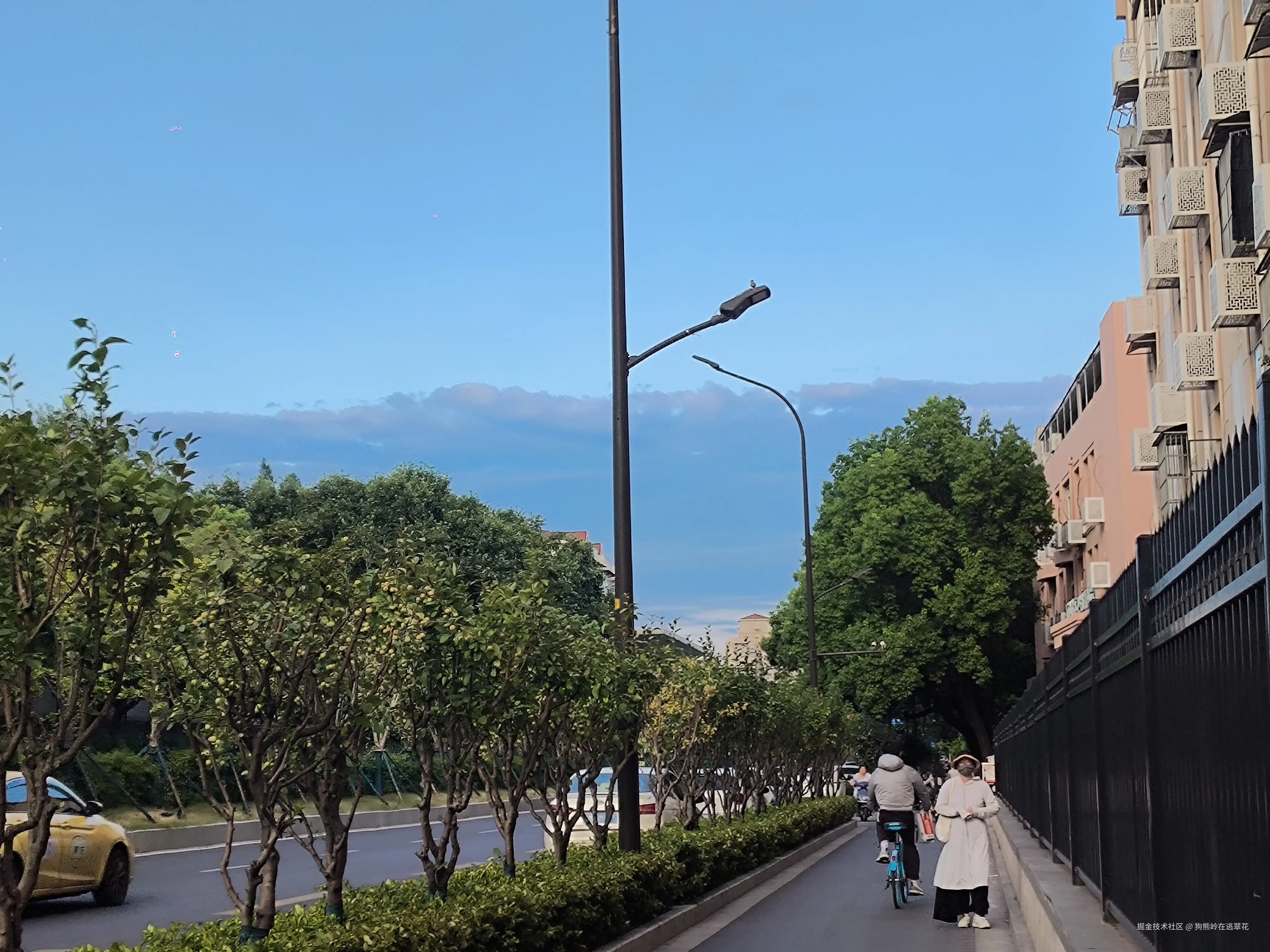 狗熊岭在逃翠花于2024-08-08 15:56发布的图片