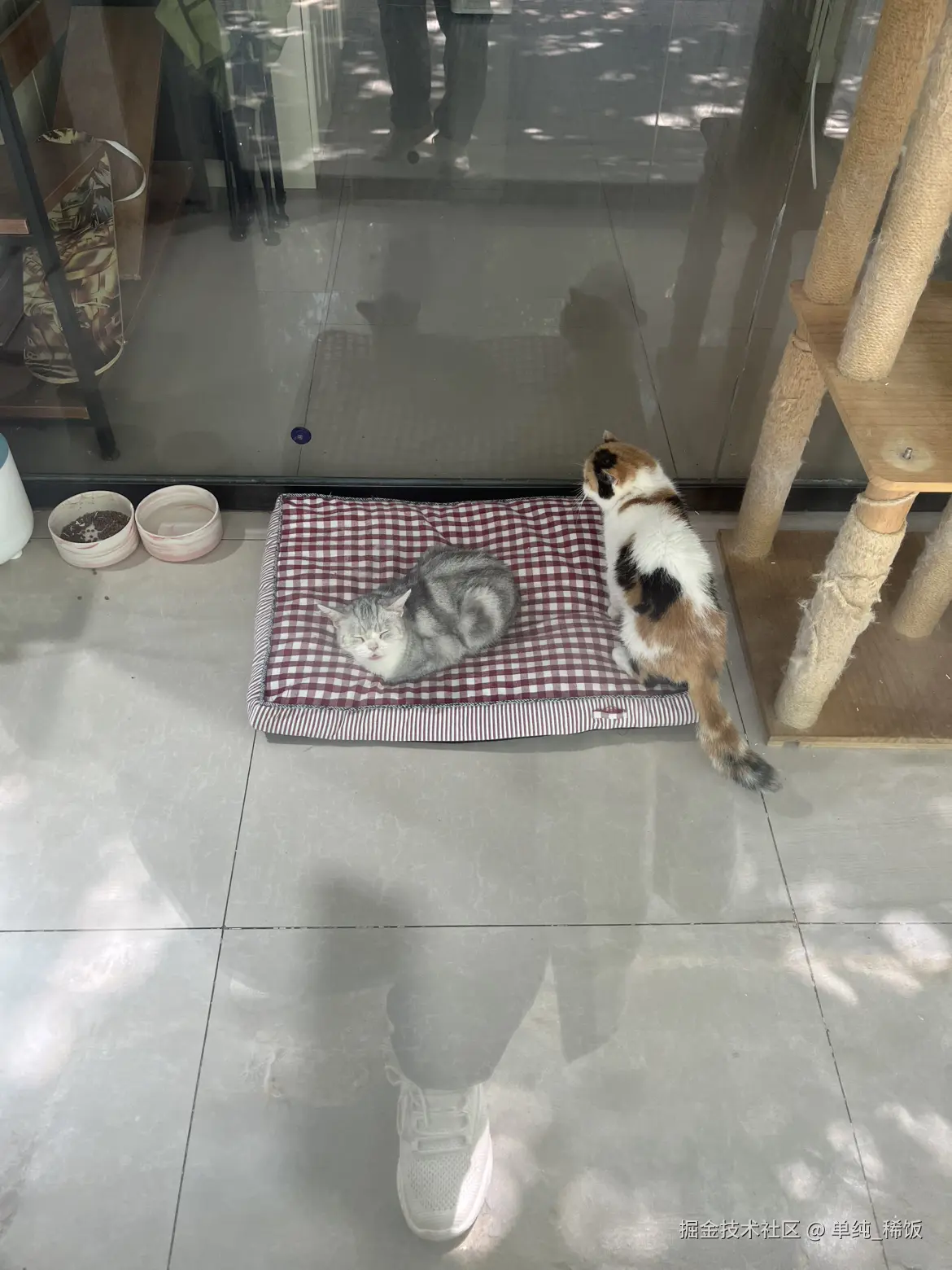 单纯_稀饭于2025-04-28 13:21发布的图片