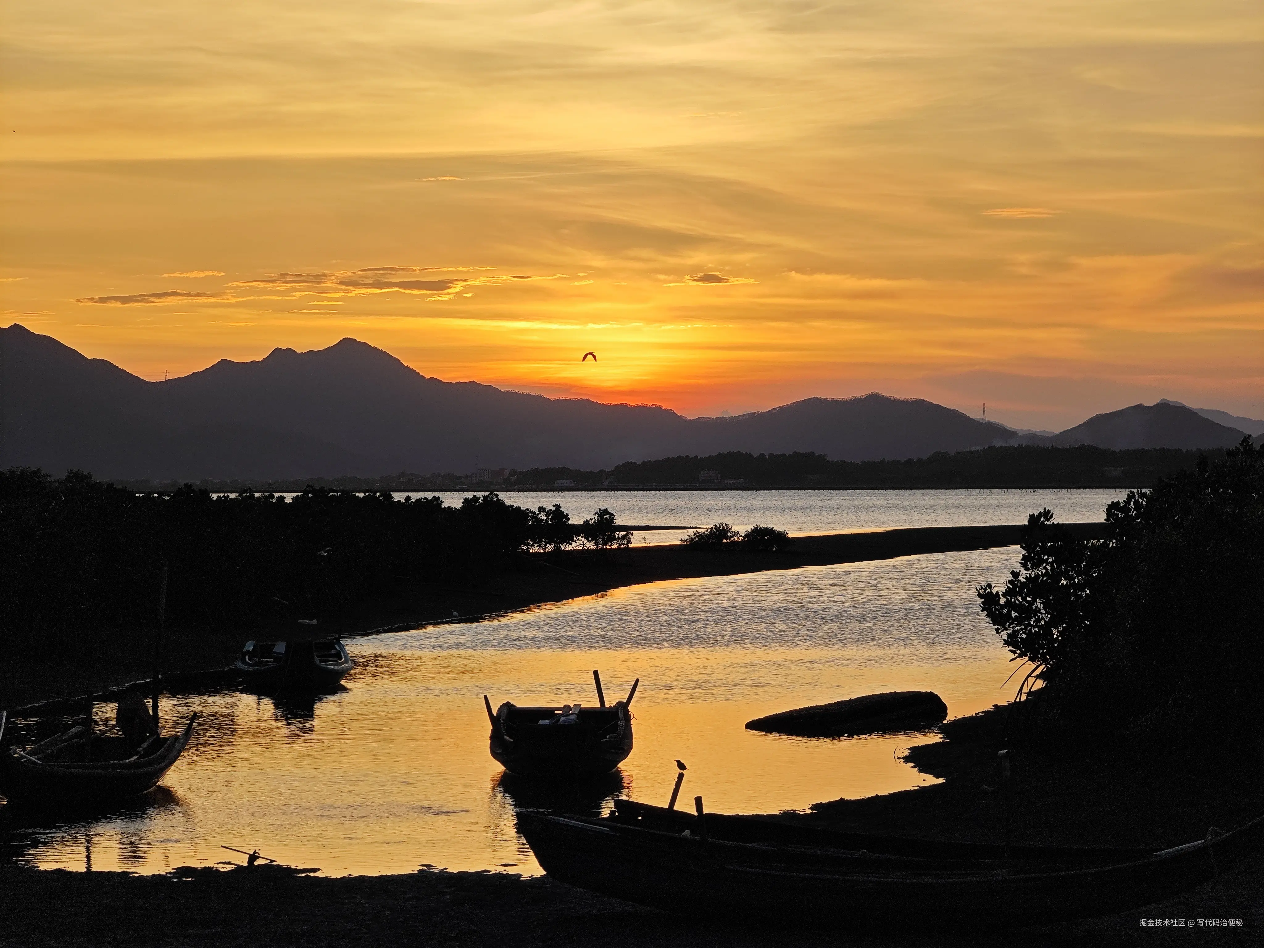 写代码治便秘于2025-09-05 09:29发布的图片