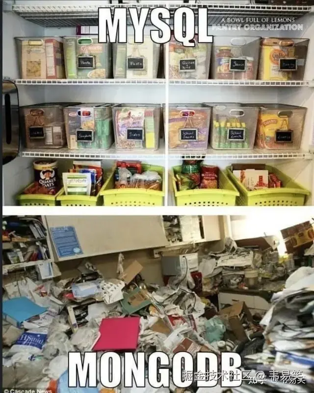 韦易笑于2024-11-20 14:46发布的图片