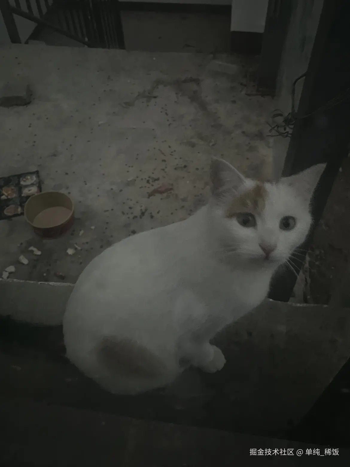 单纯_稀饭于2025-10-28 16:29发布的图片