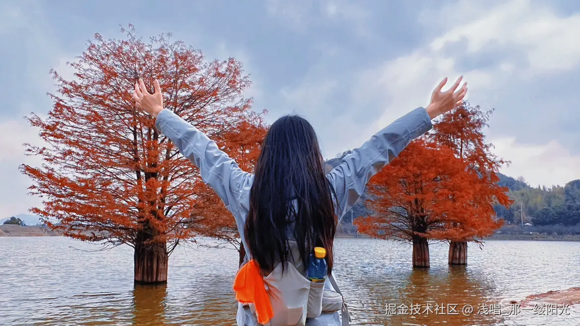 浅唱_那一缕阳光于2025-12-25 03:19发布的图片