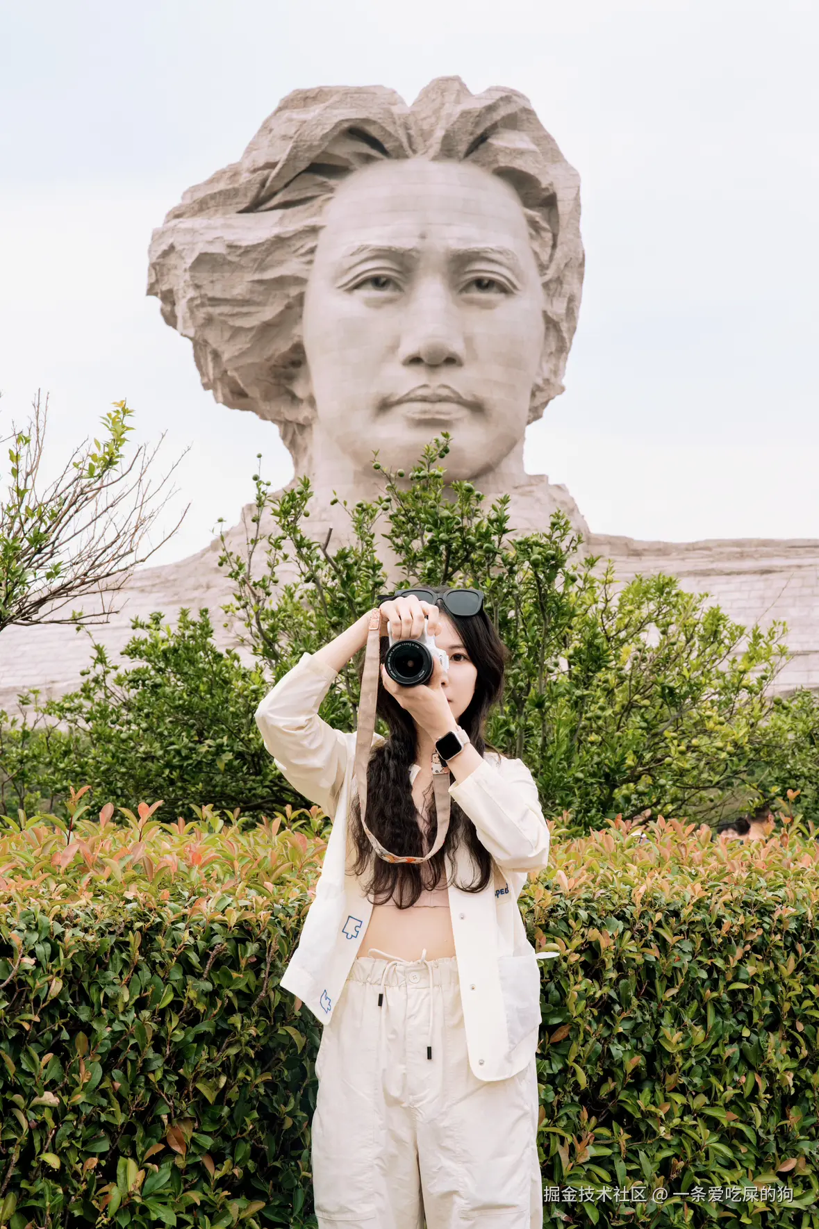 一条爱吃屎的狗于2024-09-26 14:01发布的图片