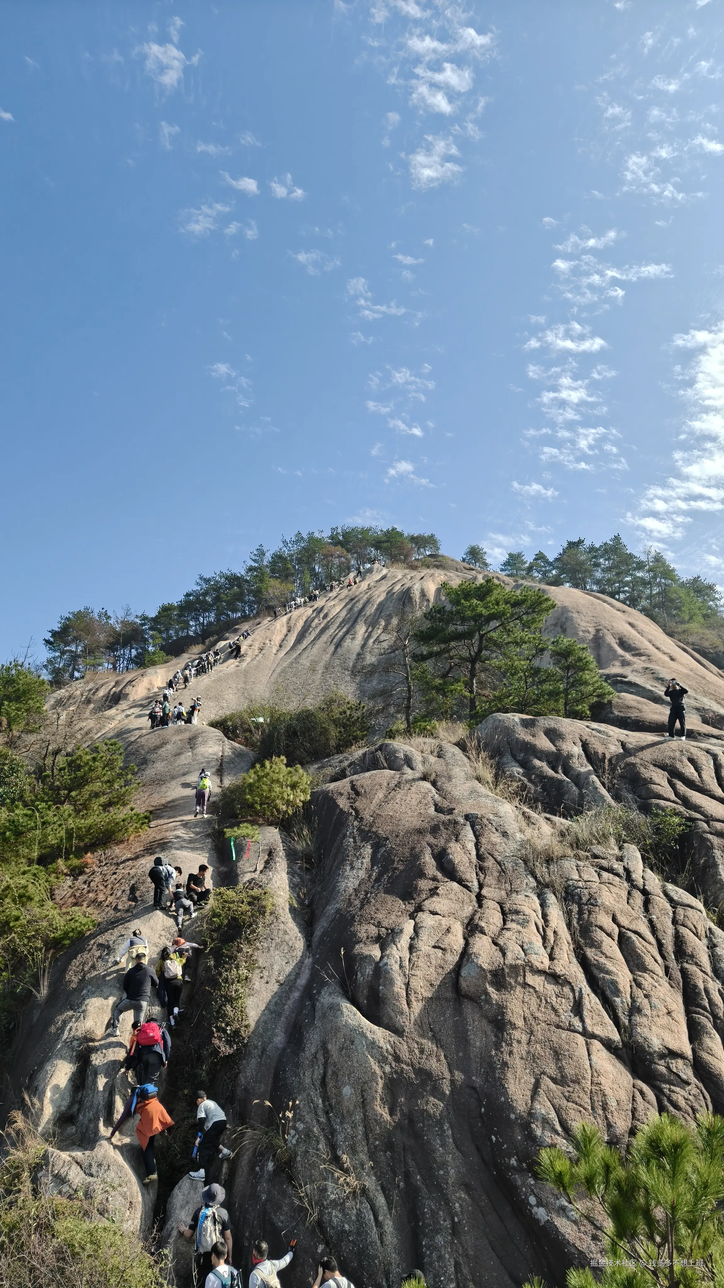 钱多多不想上班于2025-11-24 12:48发布的图片