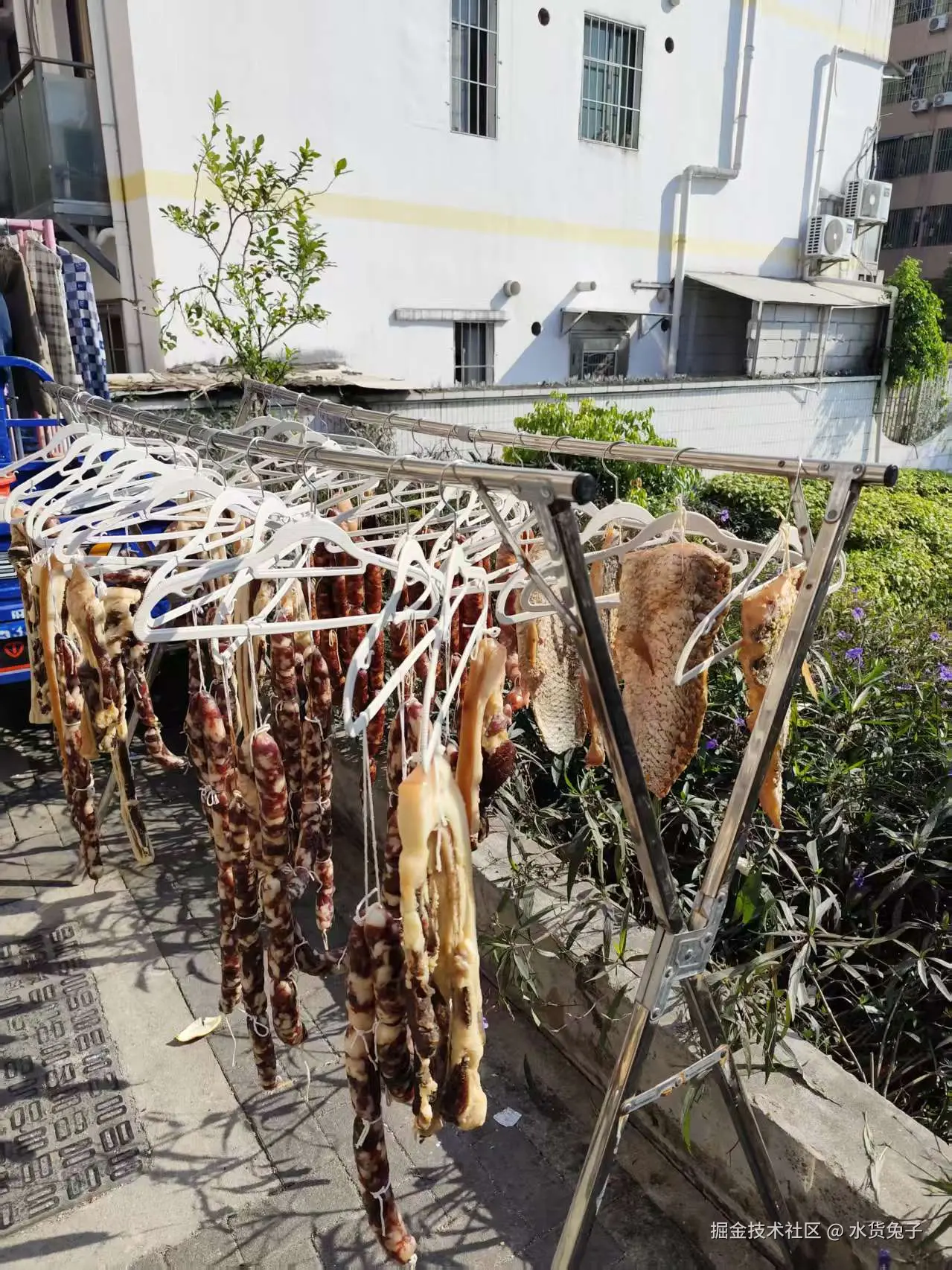 水货兔子于2026-01-08 10:35发布的图片