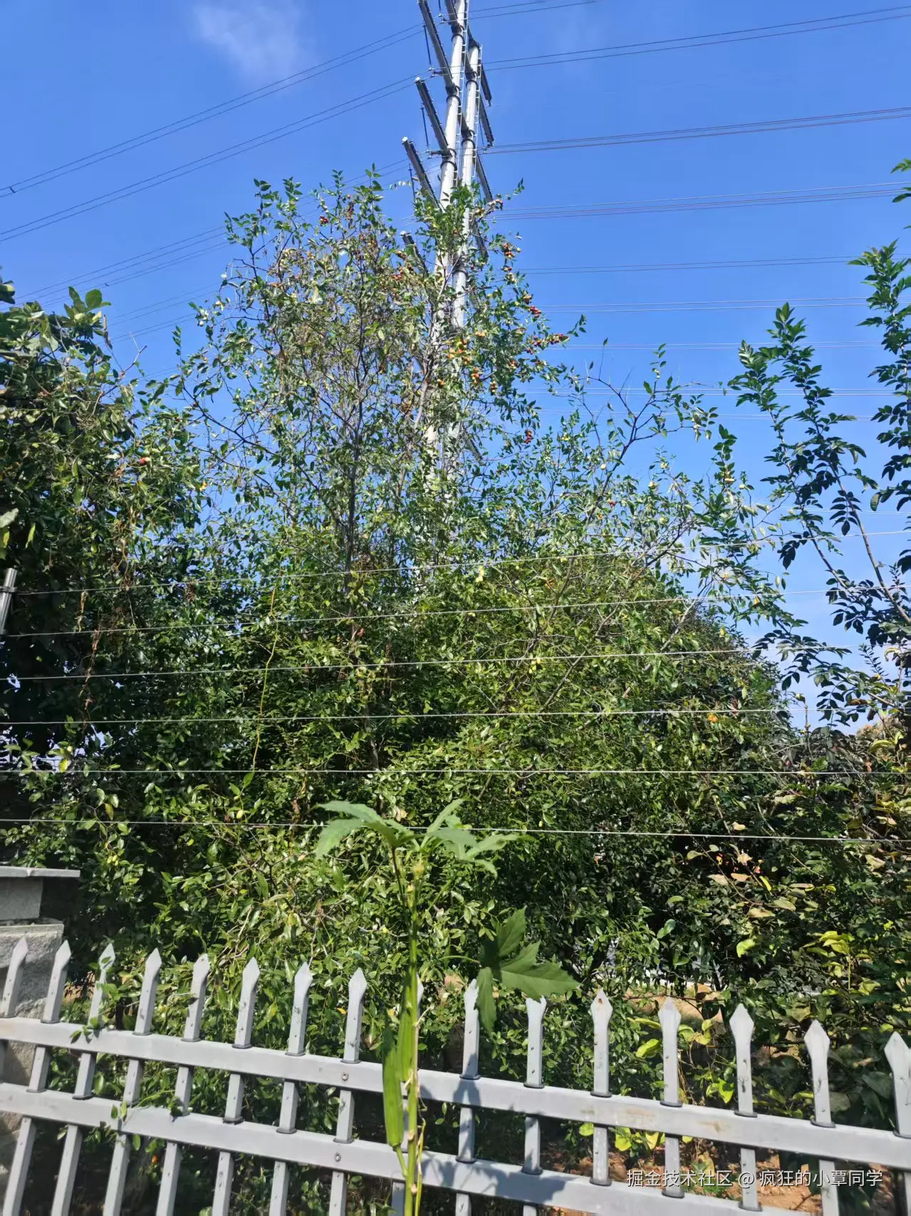 疯狂的小覃同学于2025-10-14 02:51发布的图片