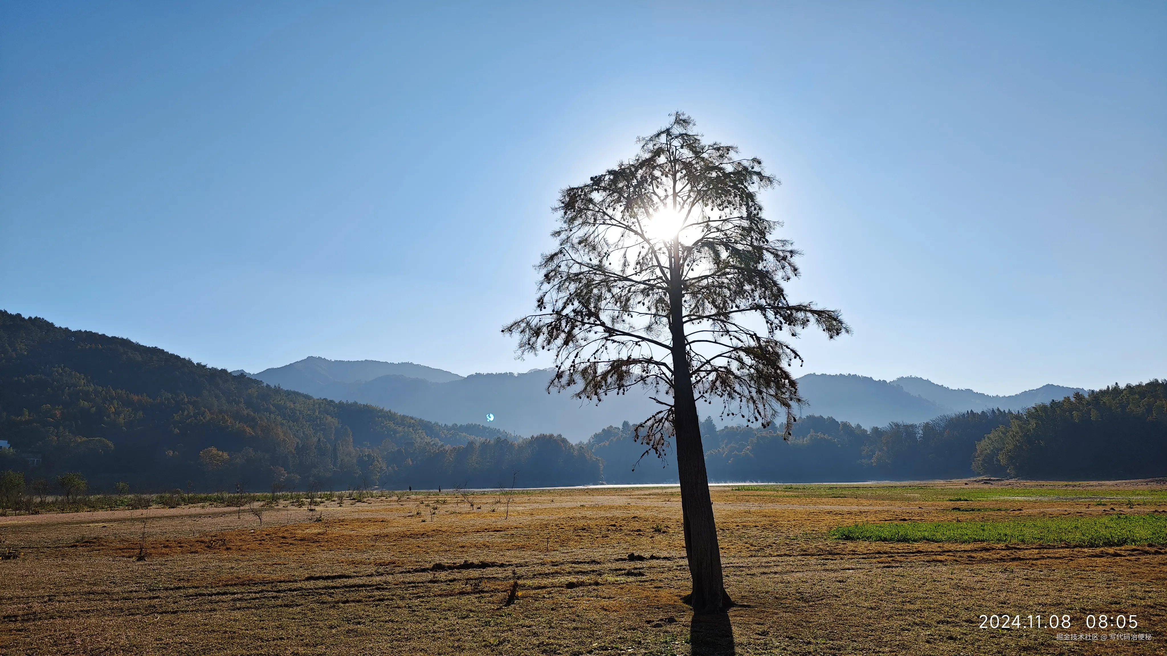 写代码治便秘于2024-11-11 10:38发布的图片