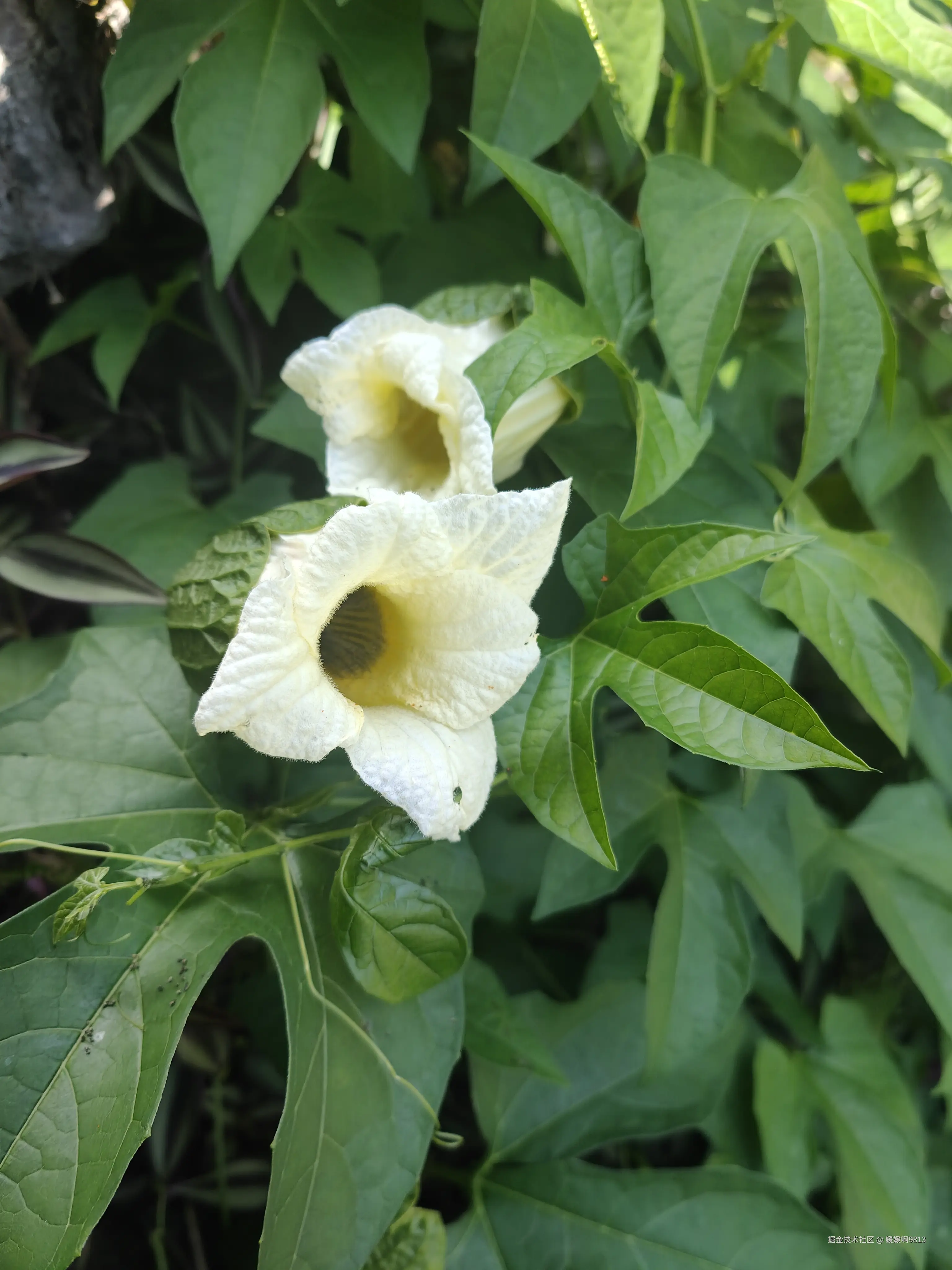 媛媛啊9813于2025-09-15 11:26发布的图片