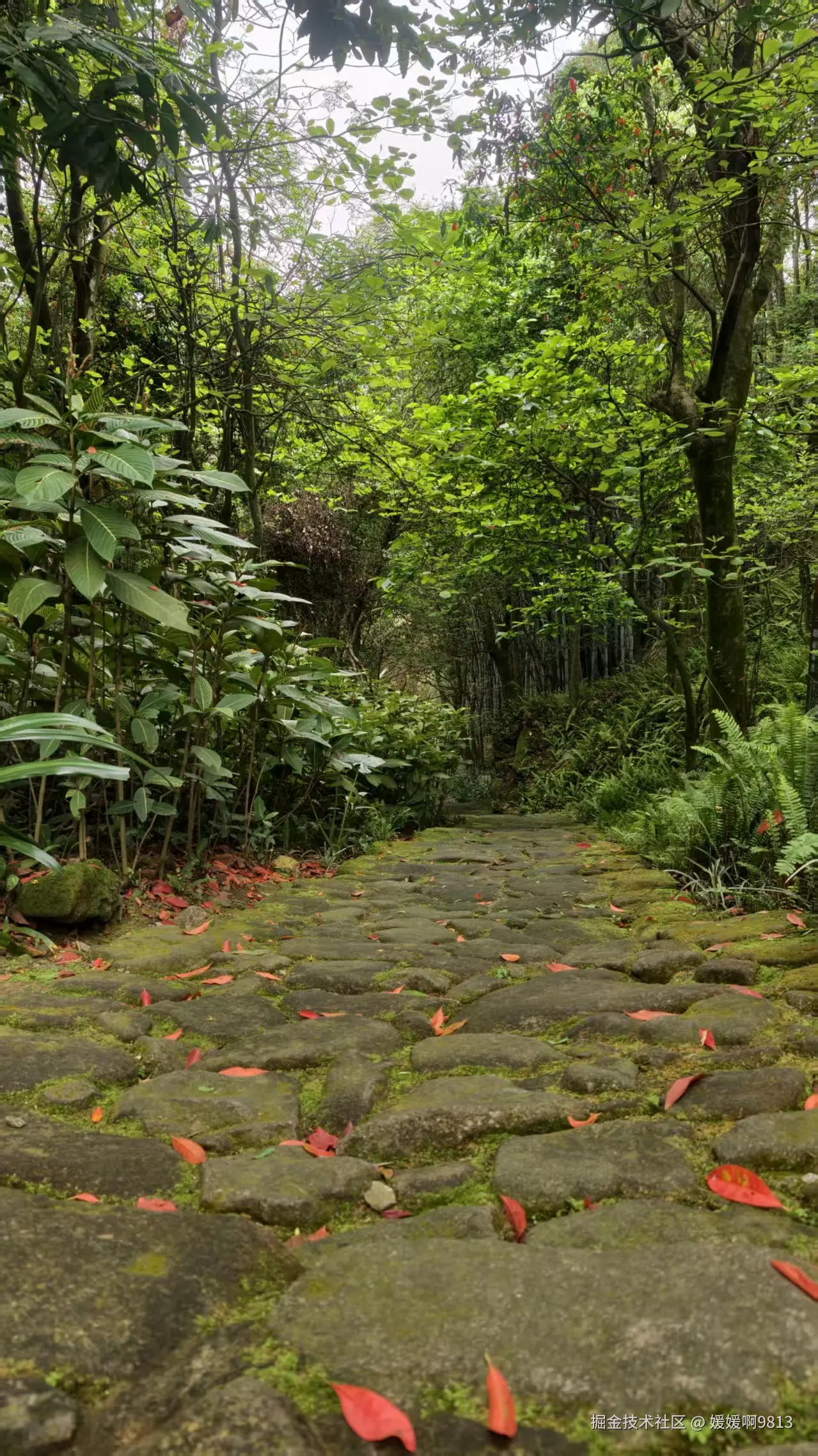 媛媛啊9813于2026-03-29 15:21发布的图片