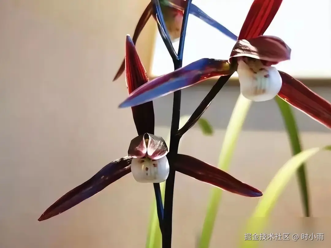 时小雨于2025-06-02 13:29发布的图片