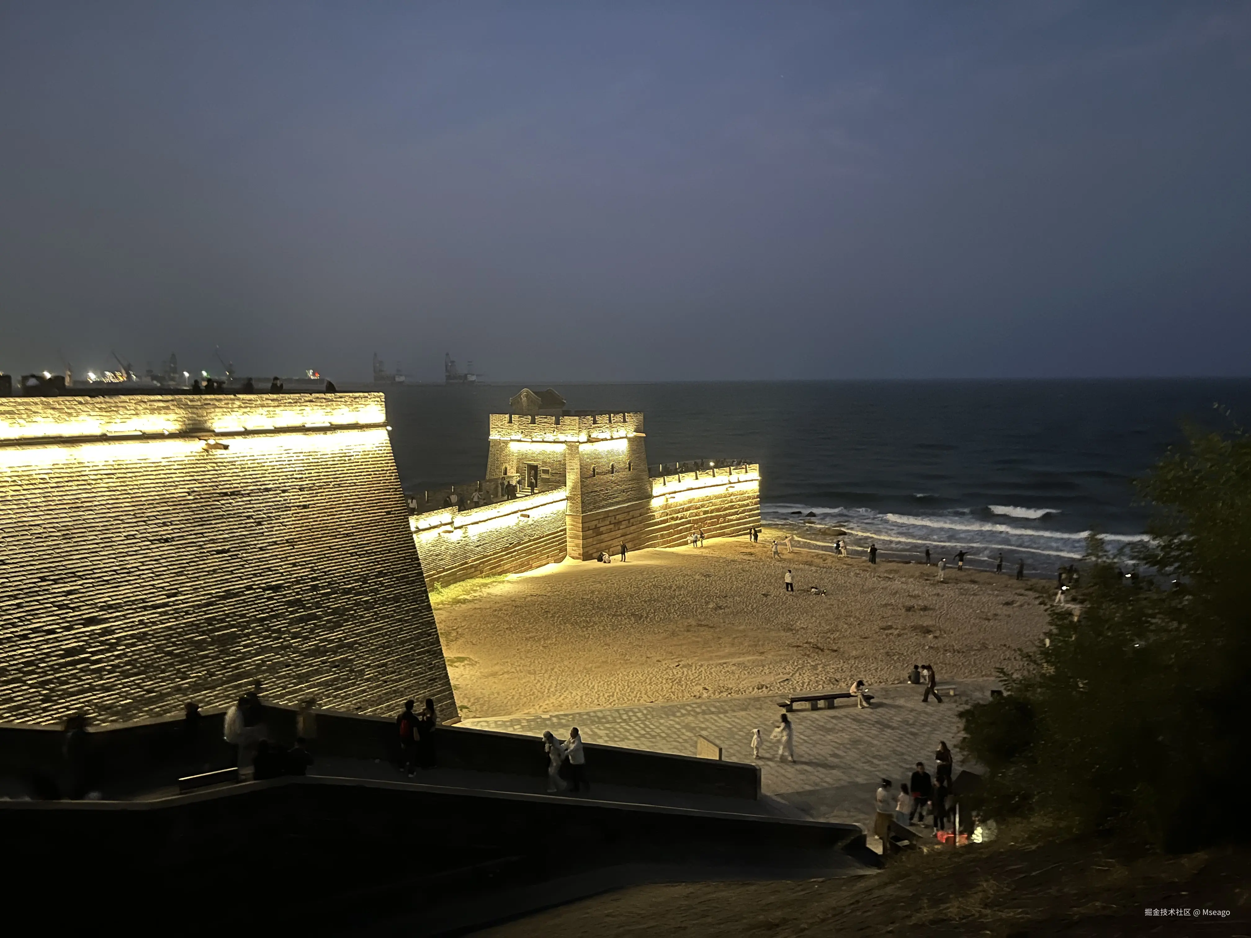 Mseago于2024-10-08 16:38发布的图片