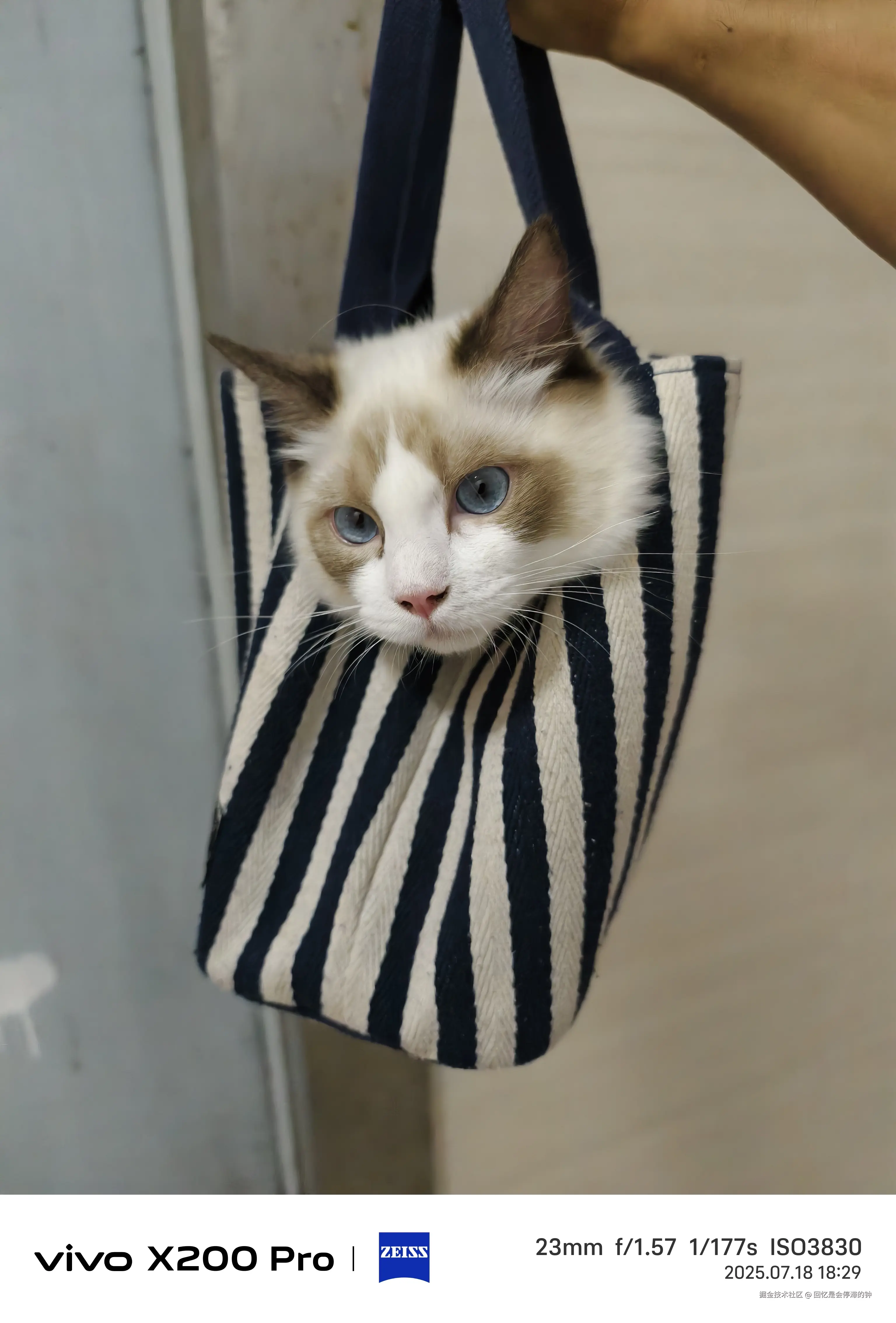 回忆是会停滞的钟于2025-07-31 16:00发布的图片