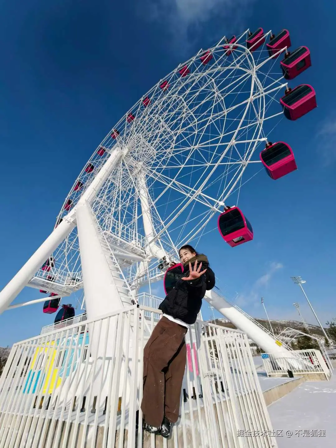 不是狐狸于2025-12-16 13:35发布的图片