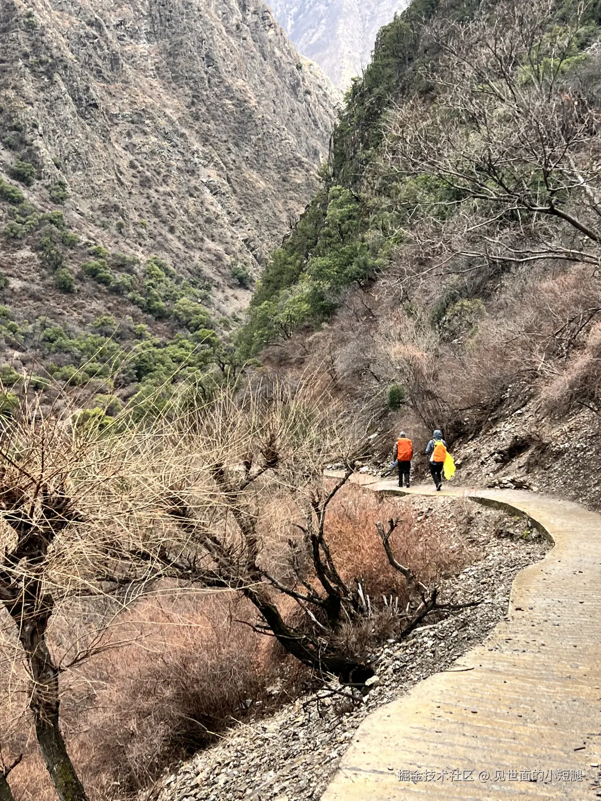见世面的小短腿于2025-03-24 14:16发布的图片