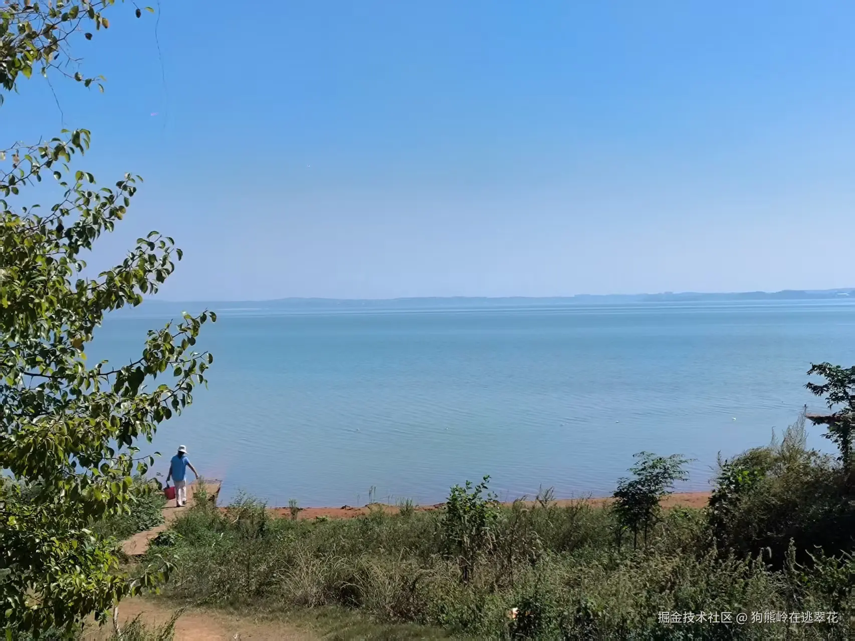 狗熊岭在逃翠花于2025-10-13 05:49发布的图片