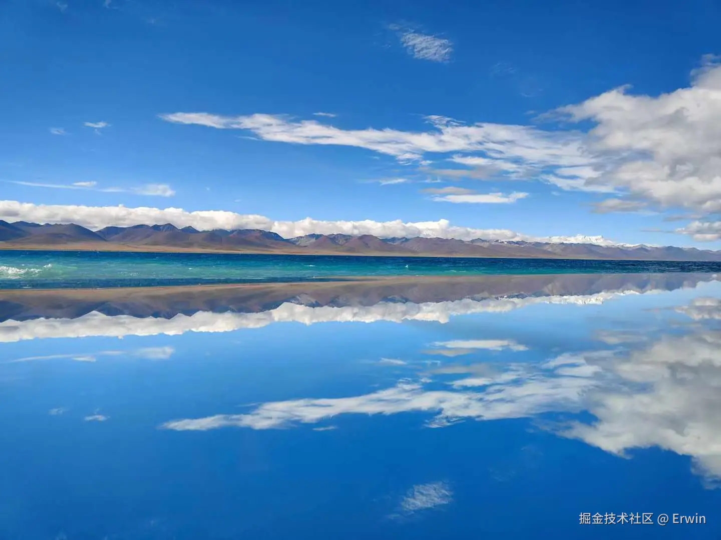 Erwin于2024-11-18 17:55发布的图片