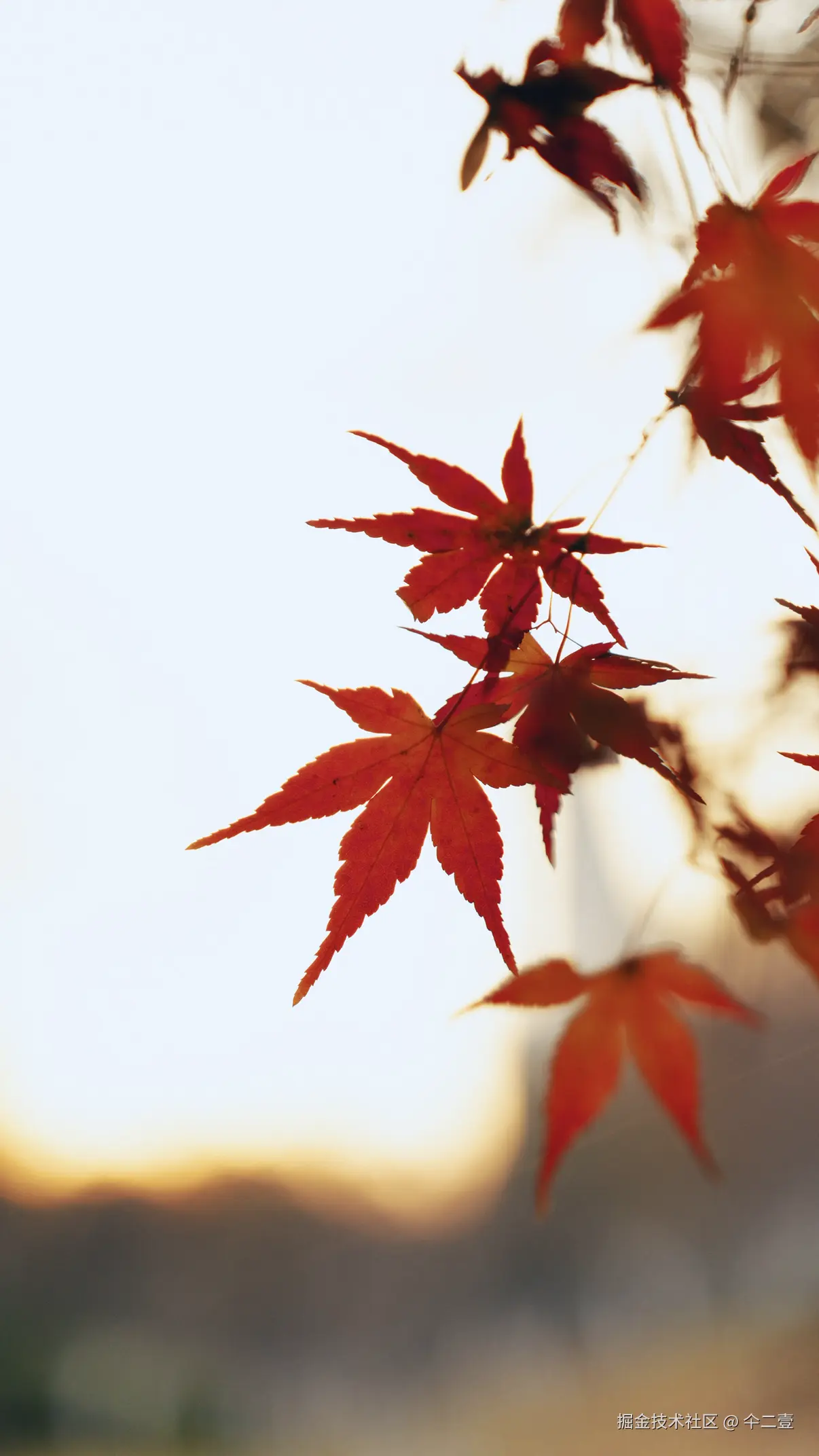 仐二壹于2025-12-08 10:14发布的图片